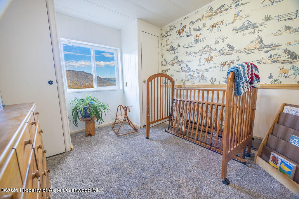 6441 County Road 7 Craig CO 81625