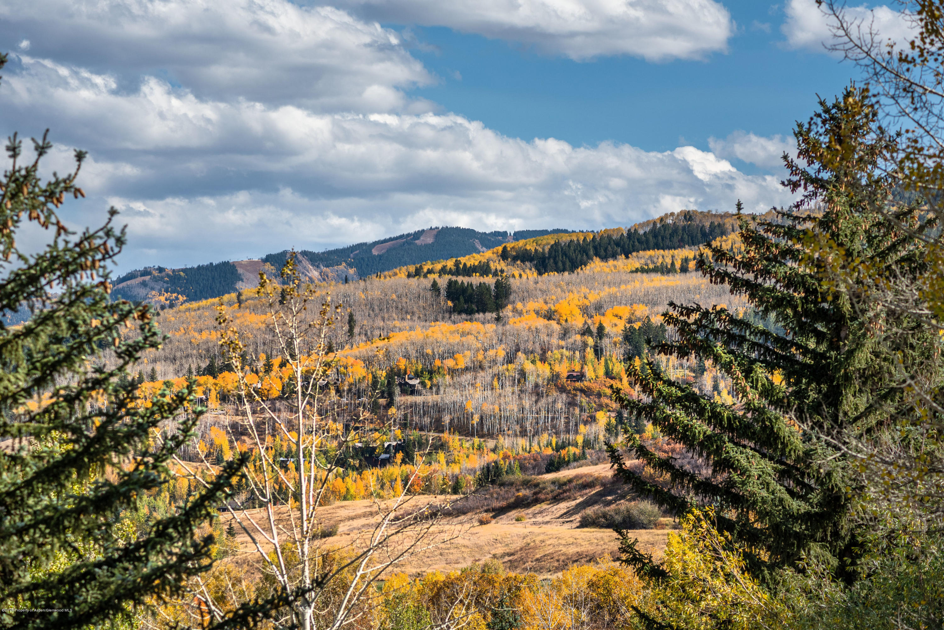 318 Meadow Road Snowmass Village CO 81615