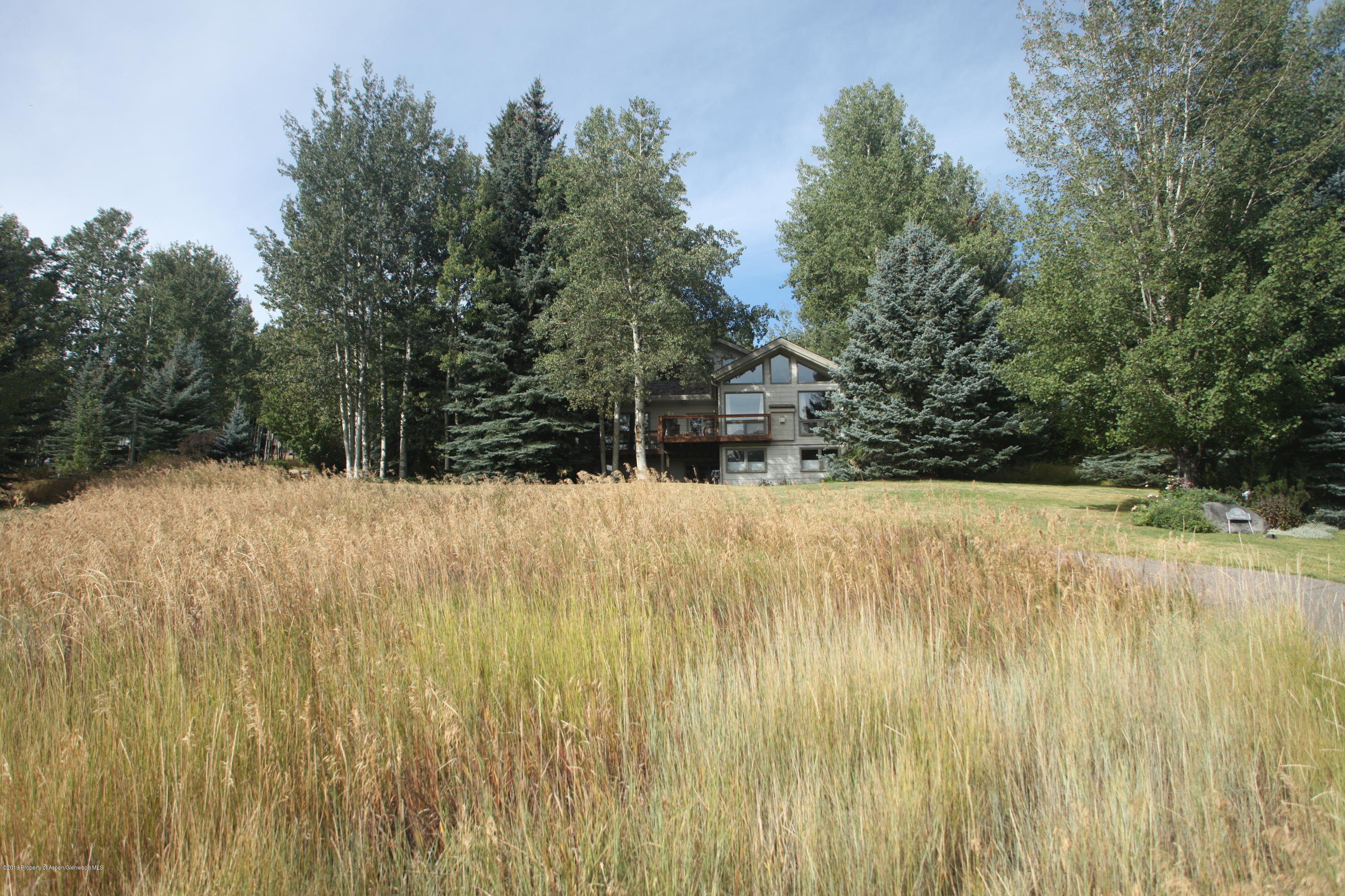 318 Meadow Road Snowmass Village CO 81615