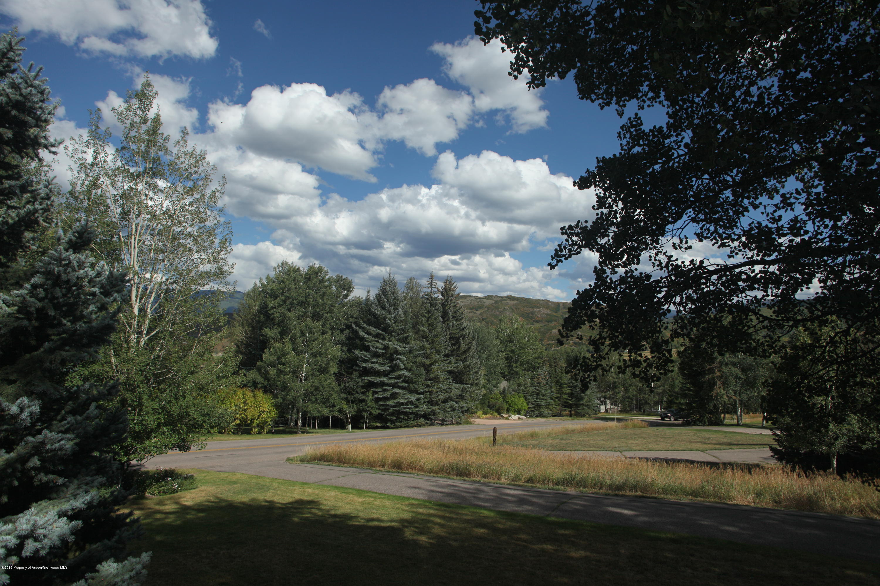 318 Meadow Road Snowmass Village CO 81615