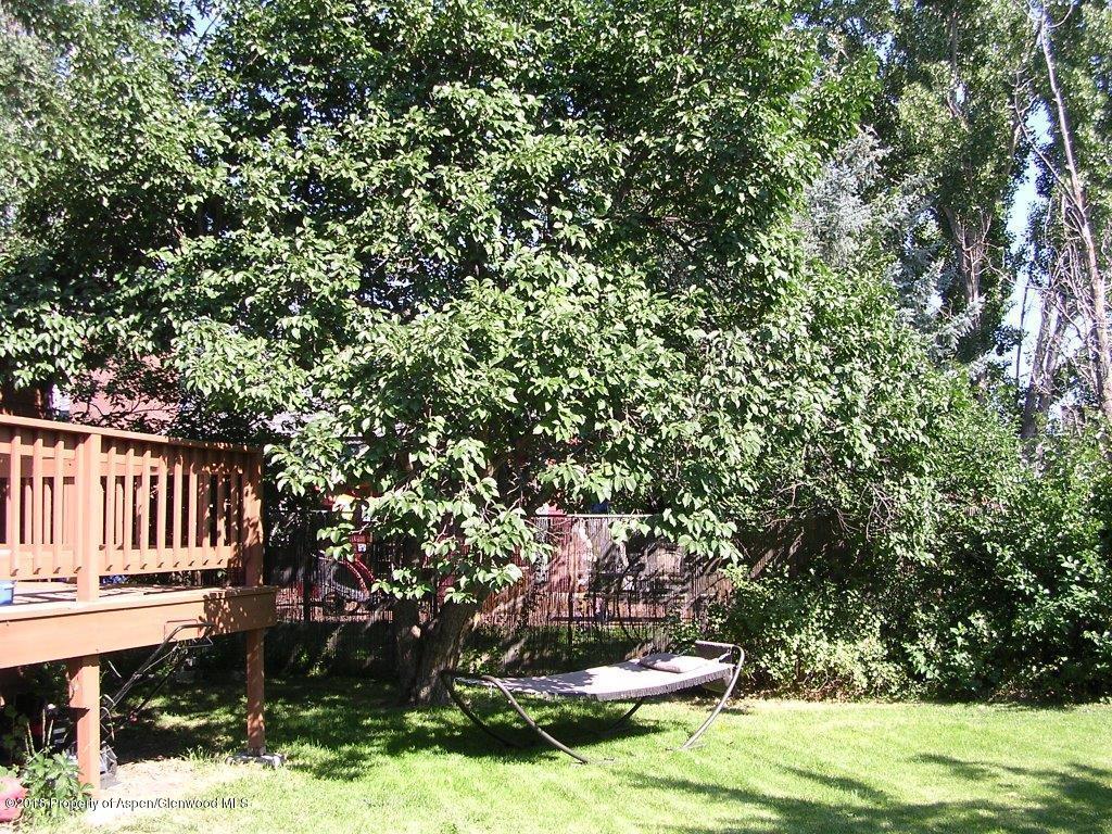180 Clearwater Road Carbondale CO 81623