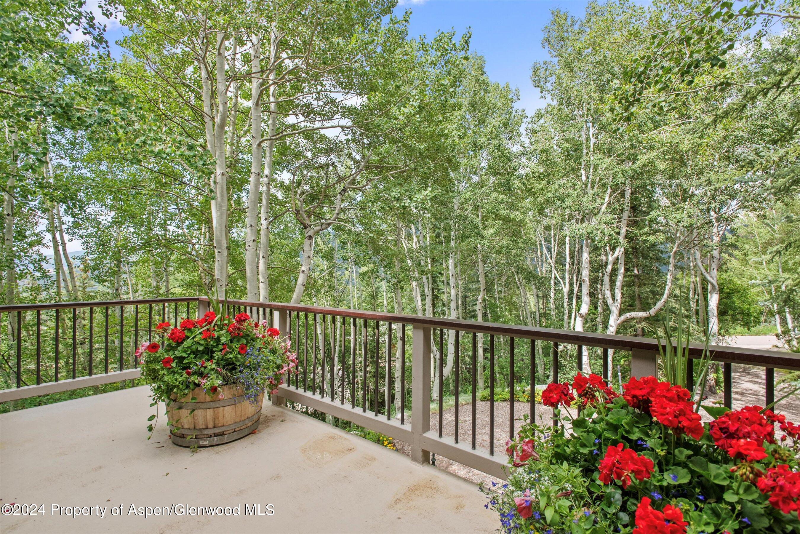 209 Larkspur Lane Aspen CO 81611