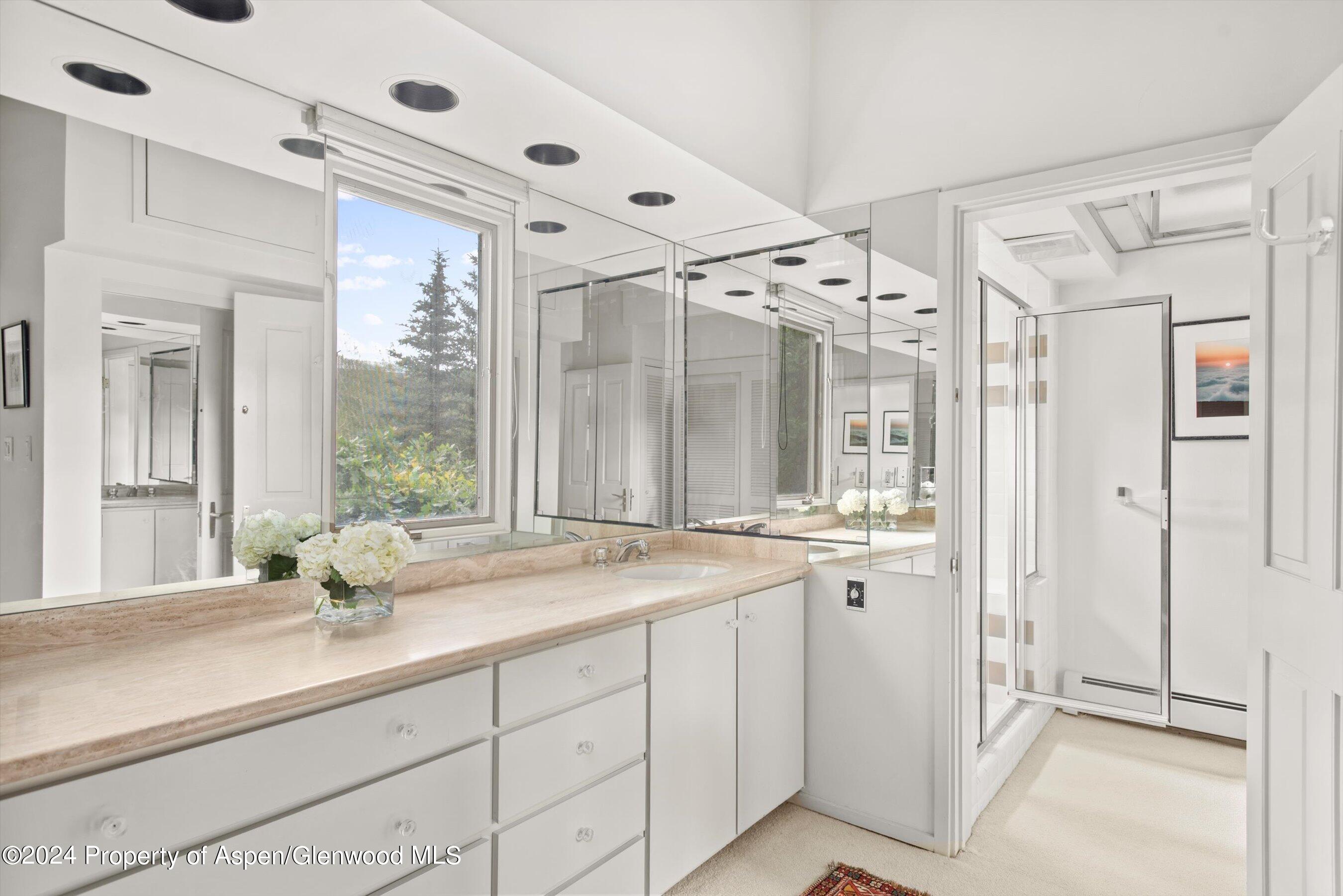 209 Larkspur Lane Aspen CO 81611