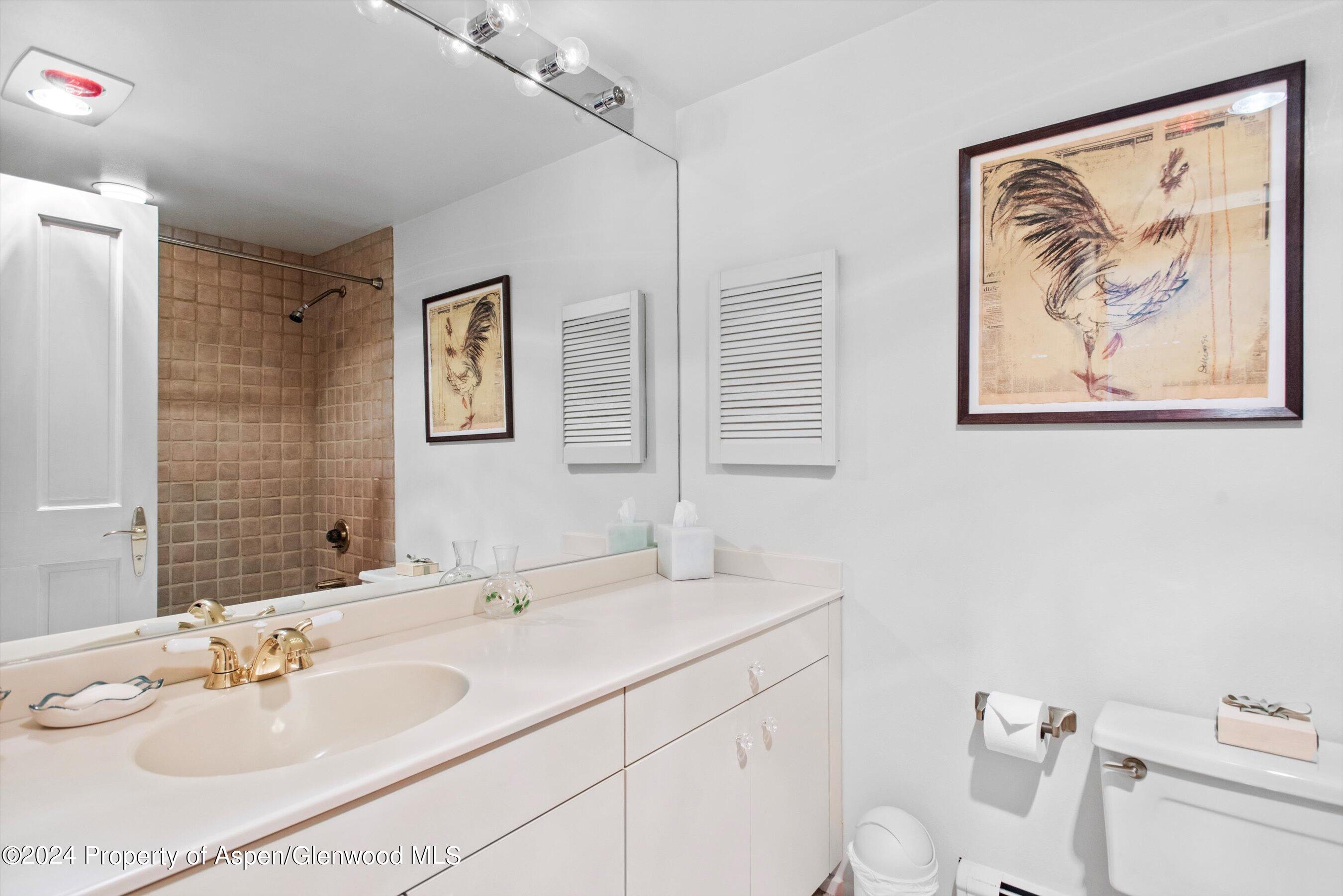 209 Larkspur Lane Aspen CO 81611