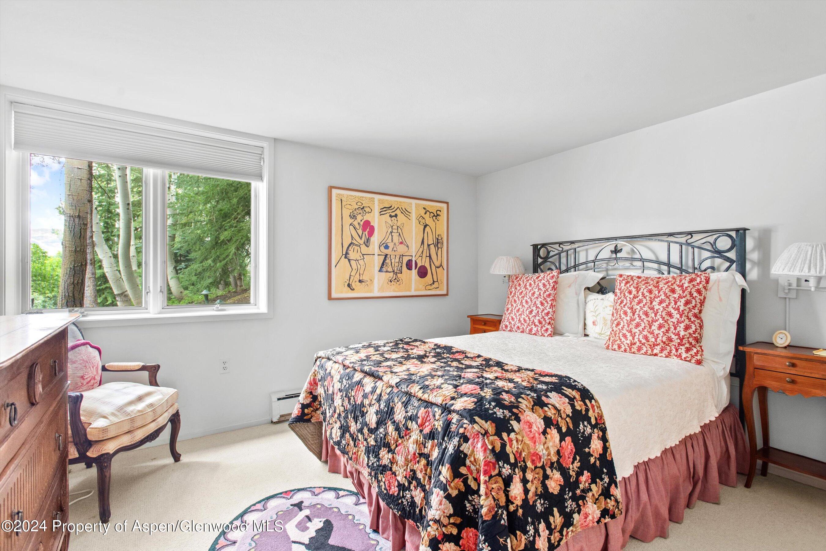 209 Larkspur Lane Aspen CO 81611