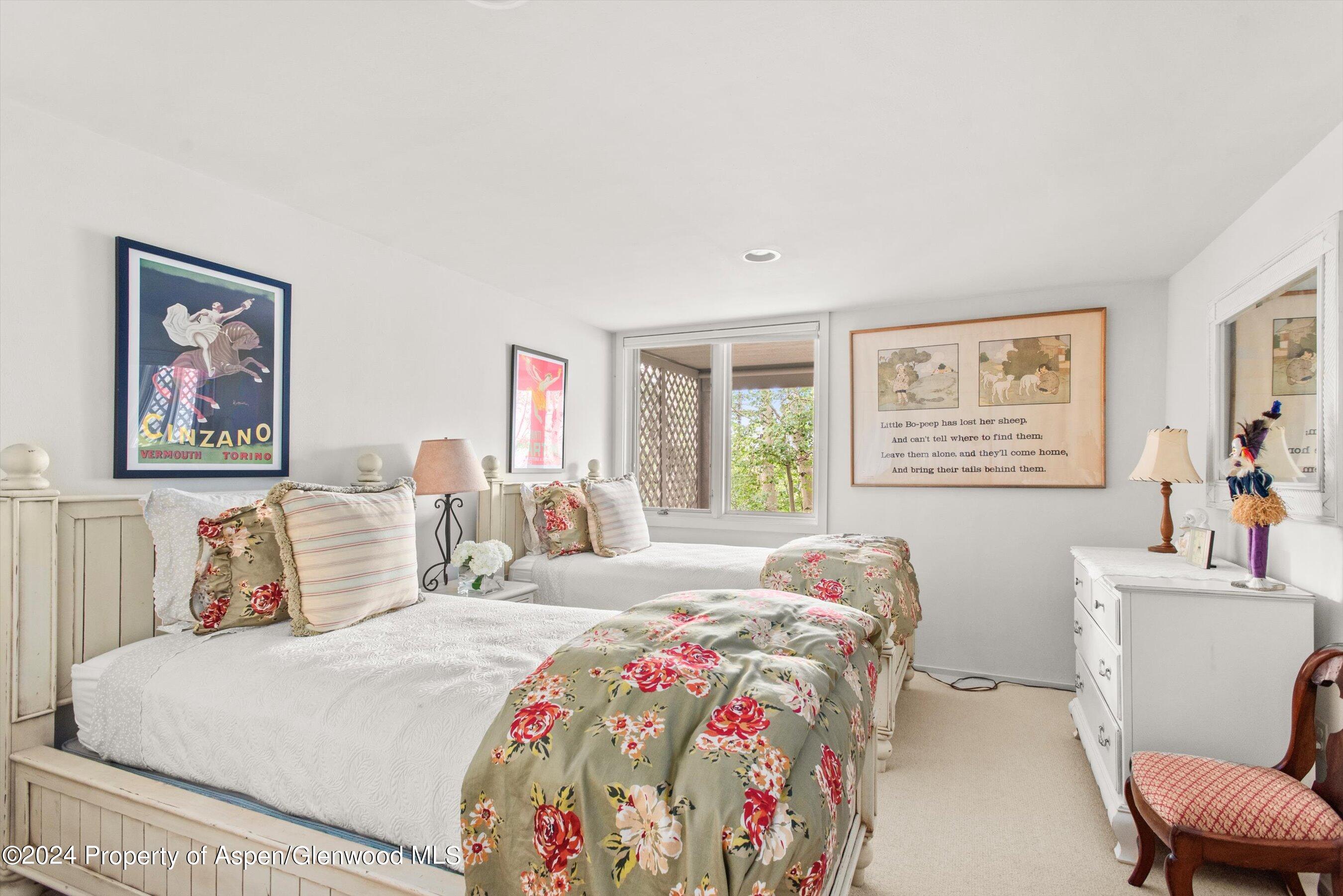 209 Larkspur Lane Aspen CO 81611