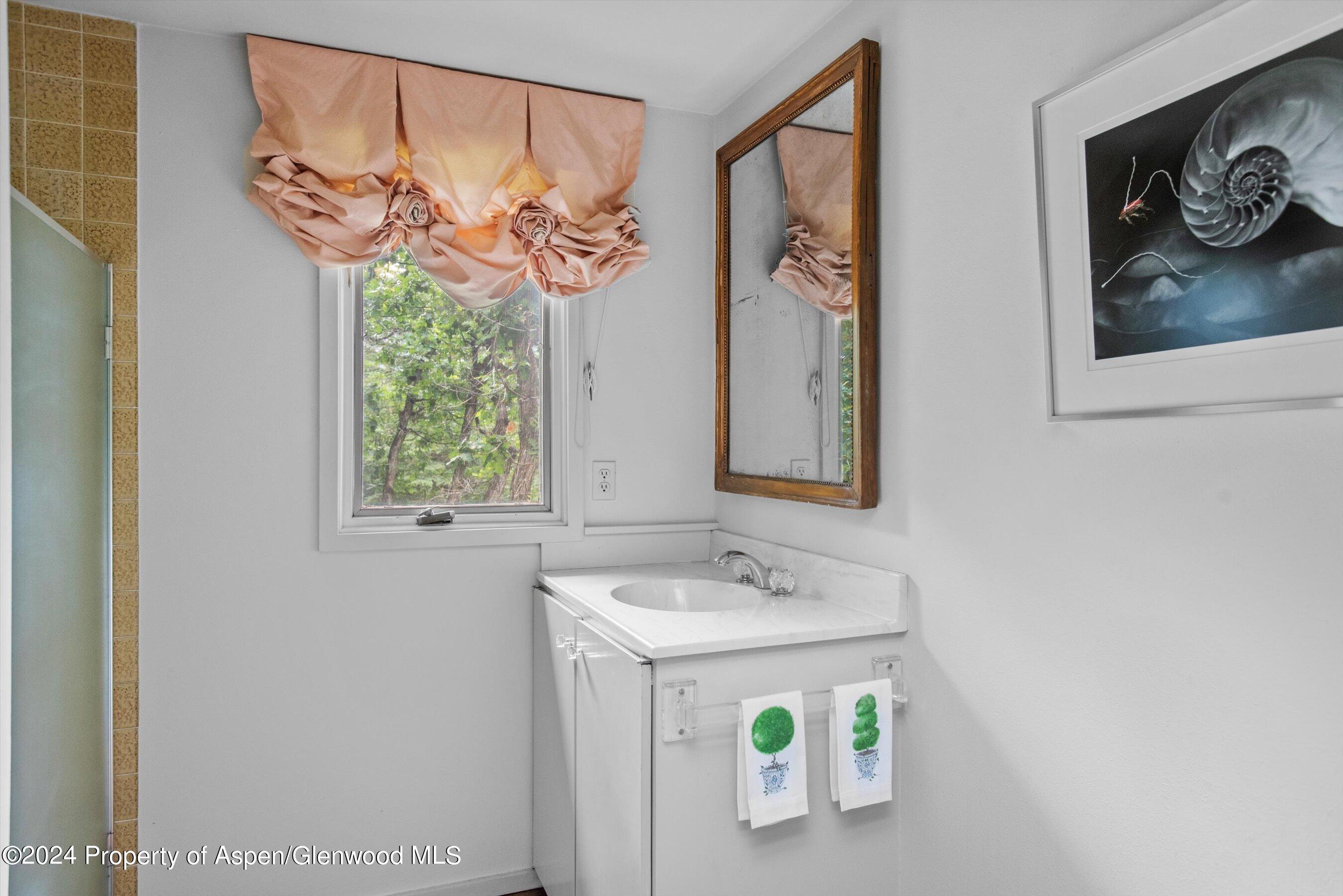 209 Larkspur Lane Aspen CO 81611