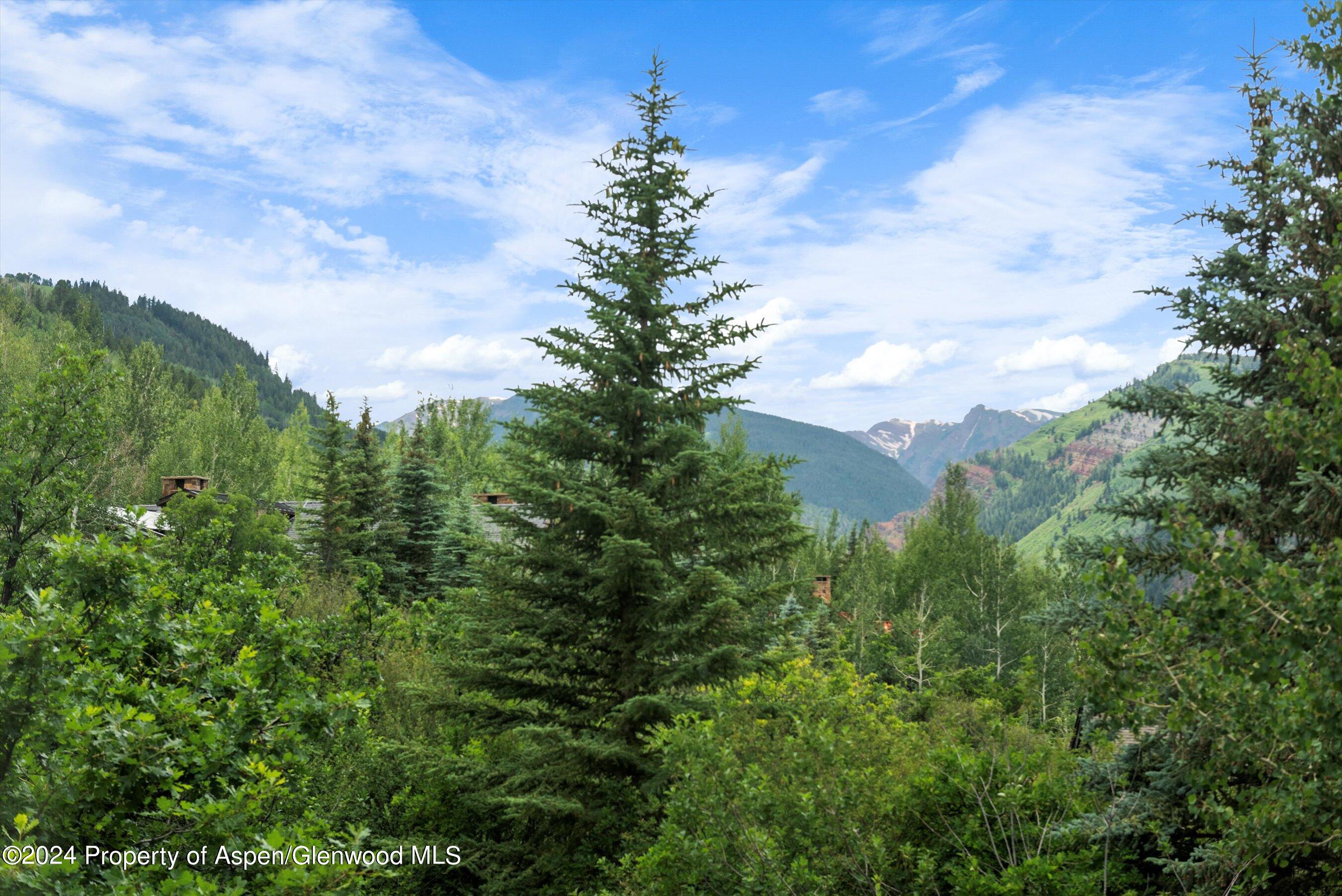 209 Larkspur Lane Aspen CO 81611