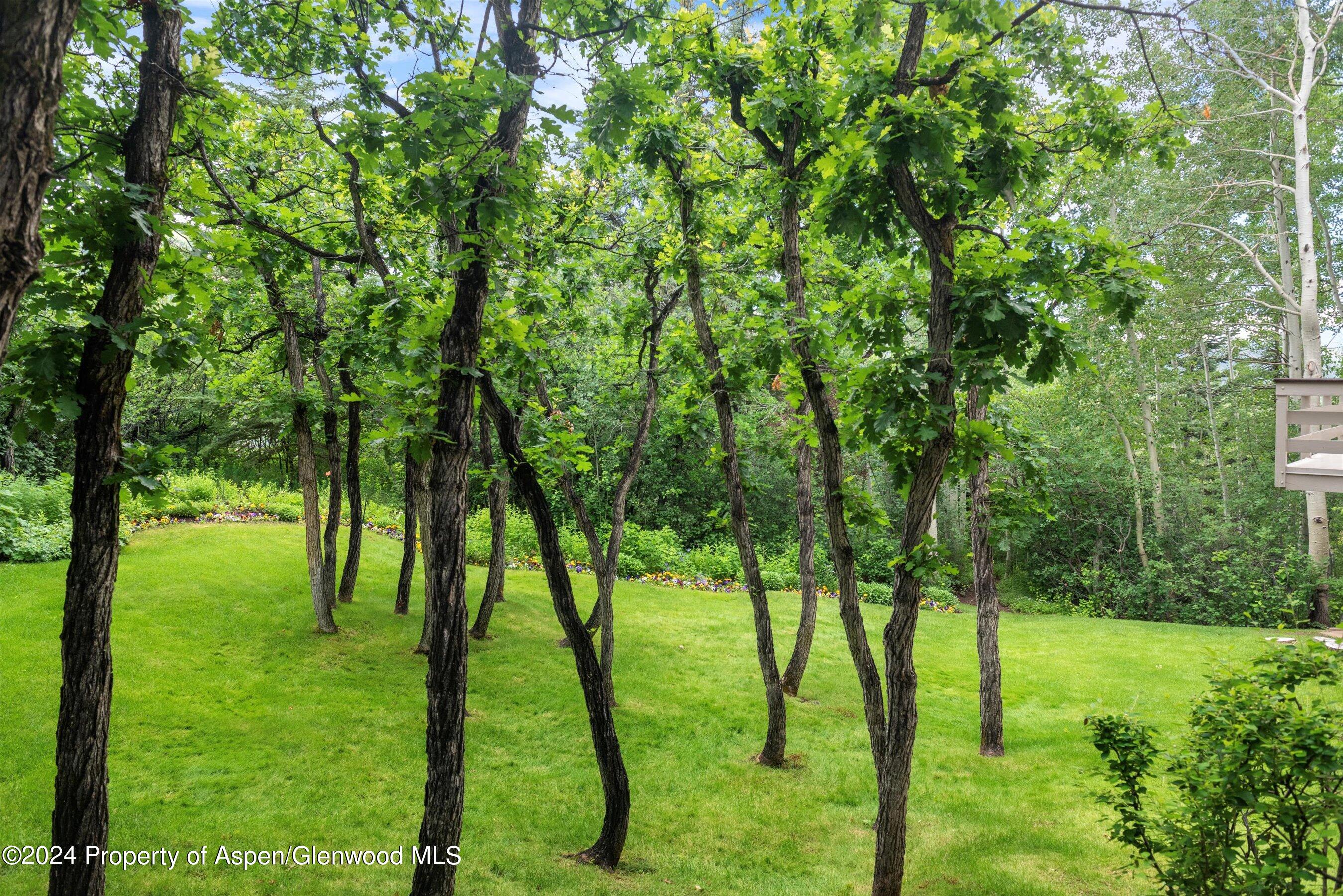 209 Larkspur Lane Aspen CO 81611