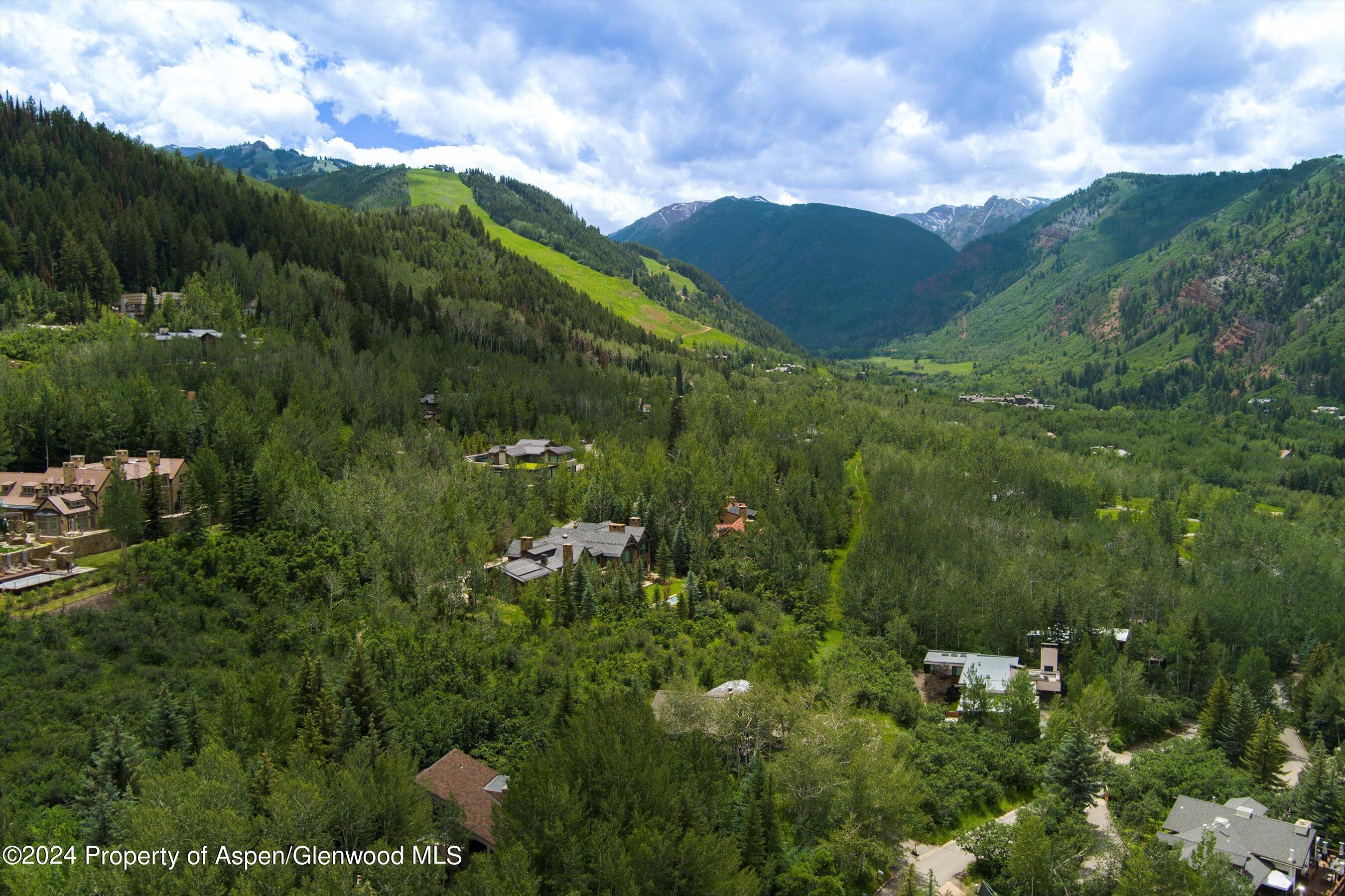 209 Larkspur Lane Aspen CO 81611