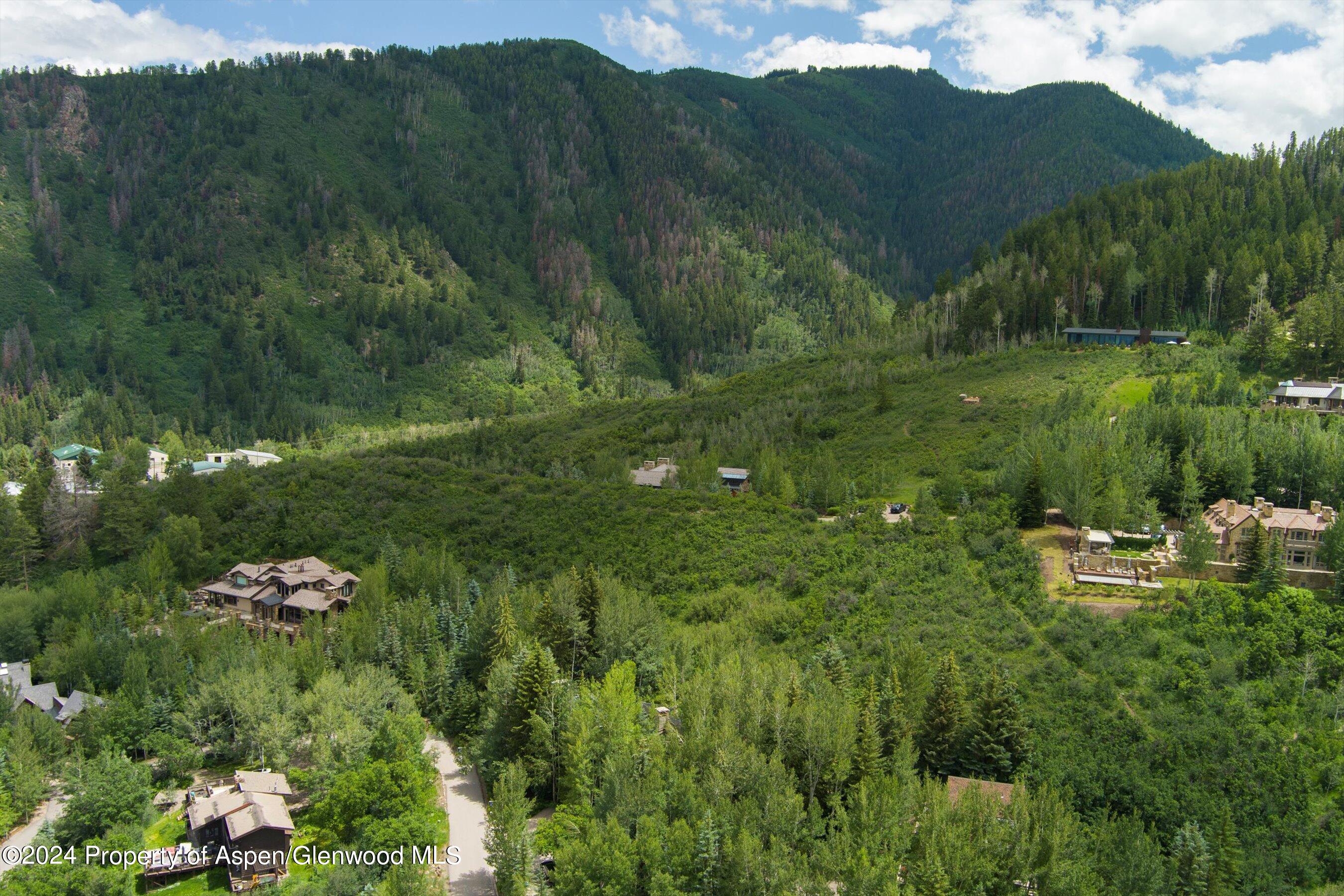 209 Larkspur Lane Aspen CO 81611