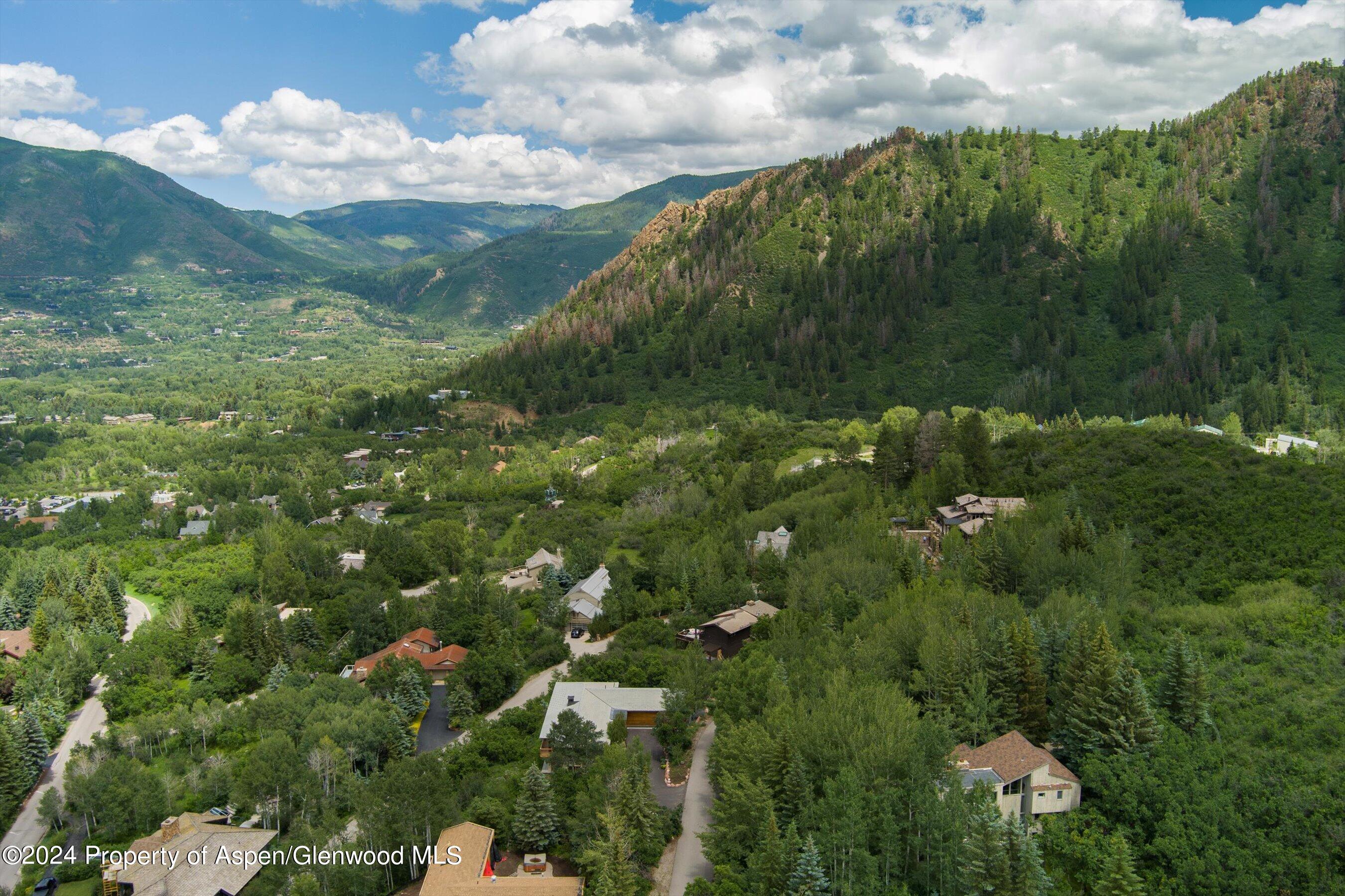 209 Larkspur Lane Aspen CO 81611