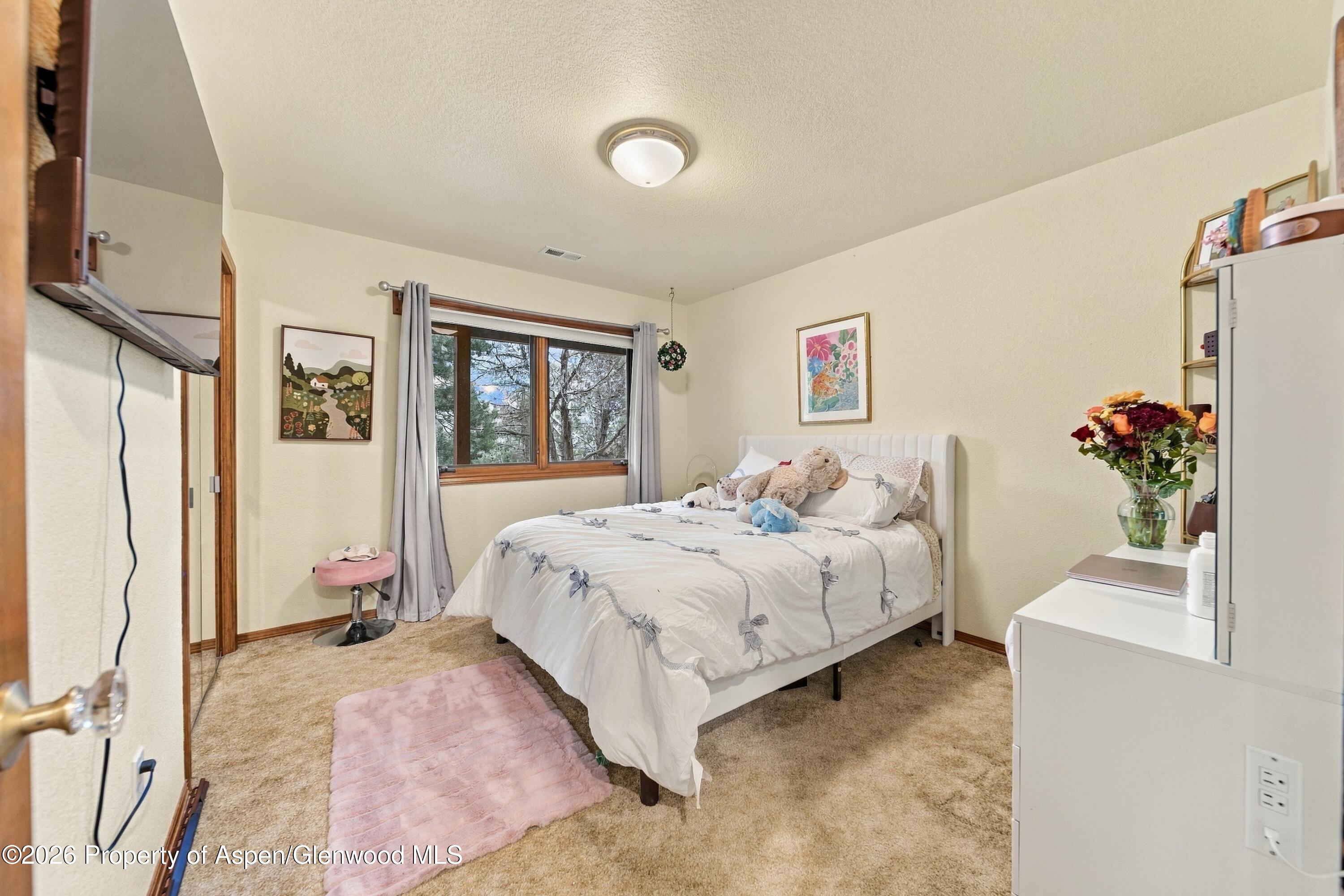 687 Canyon Creek Drive Glenwood Springs CO 81601
