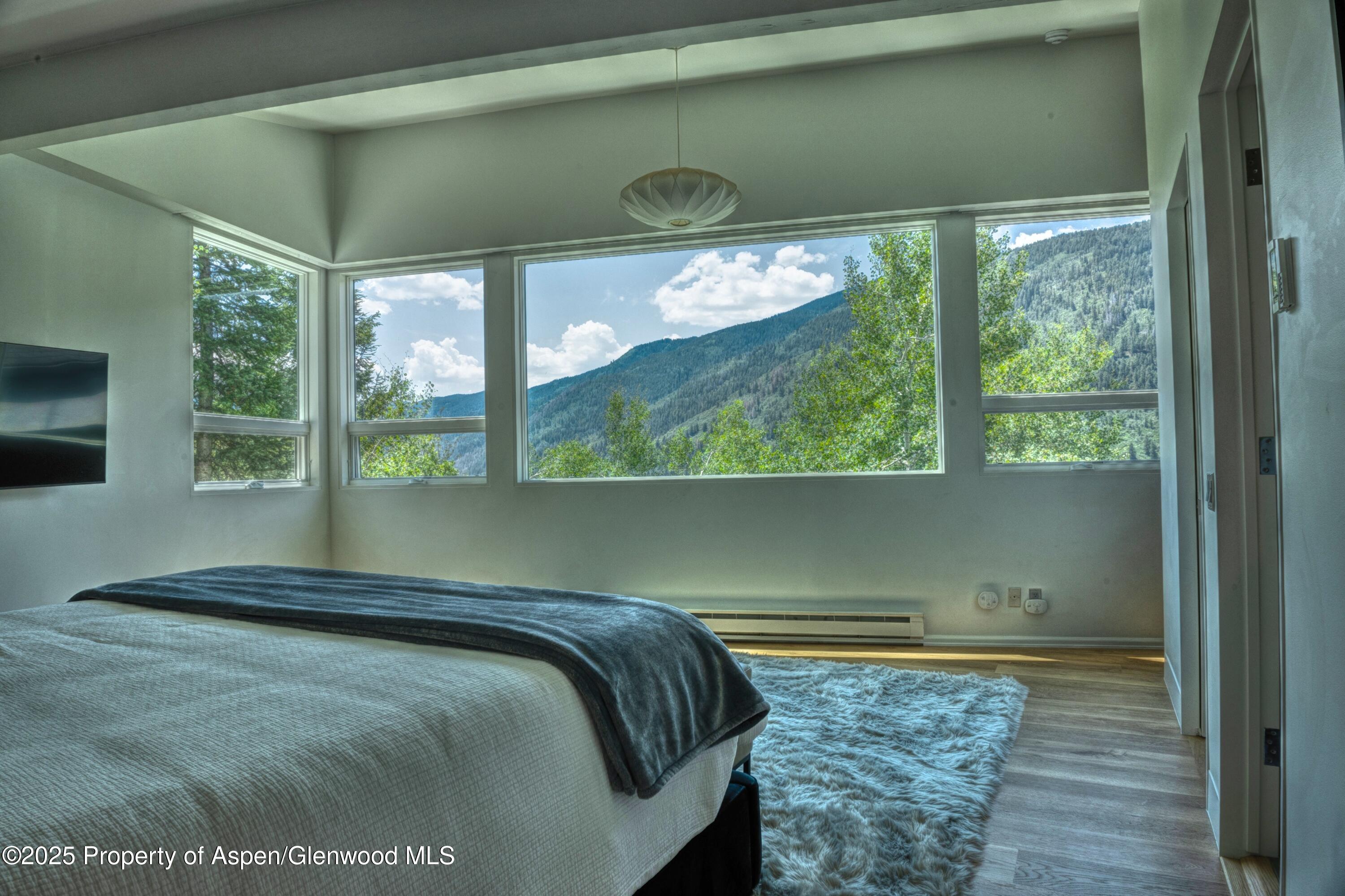 602 Mountain Laurel Drive Aspen CO 81611