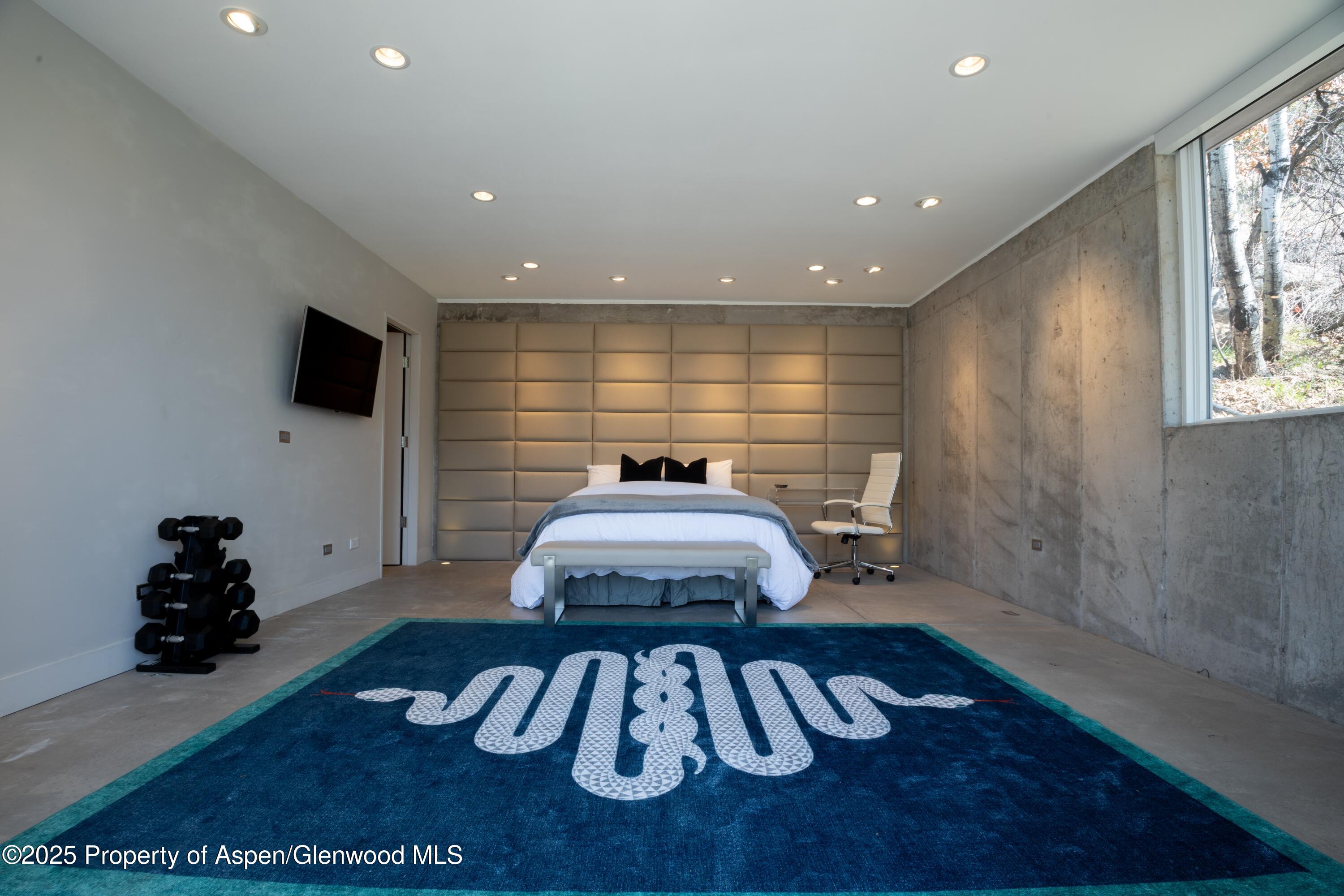 602 Mountain Laurel Drive Aspen CO 81611