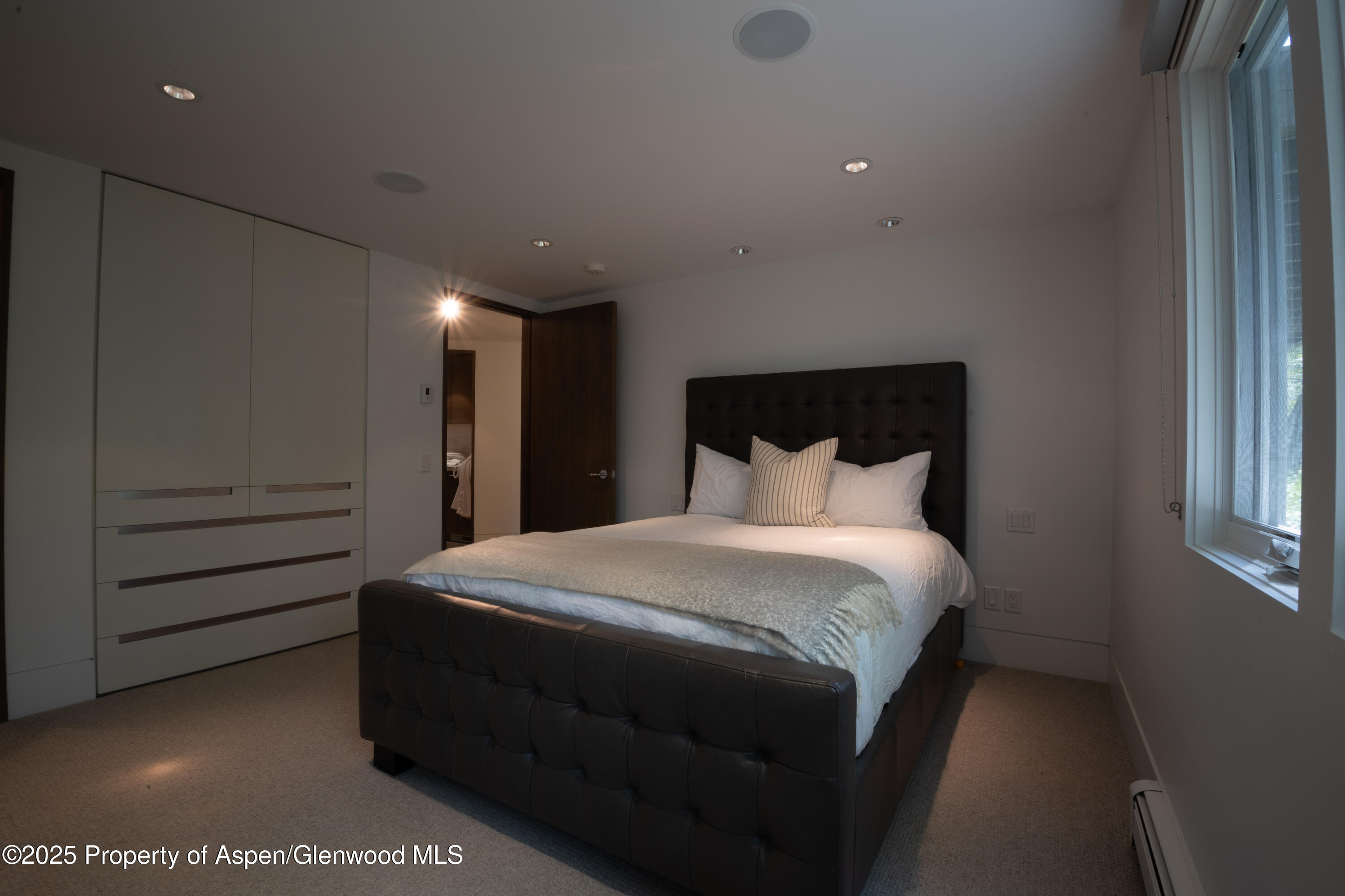 602 Mountain Laurel Drive Aspen CO 81611