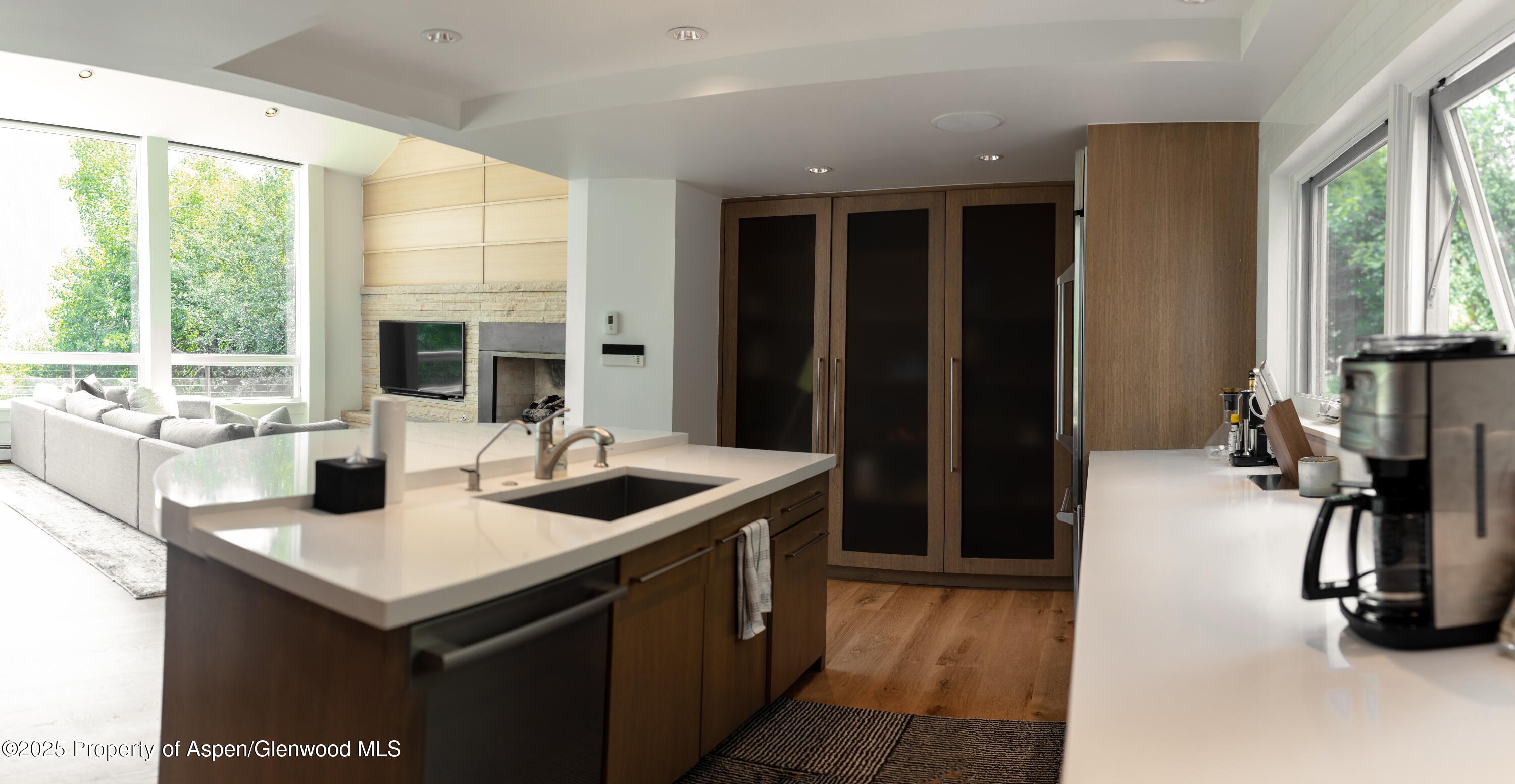 602 Mountain Laurel Drive Aspen CO 81611