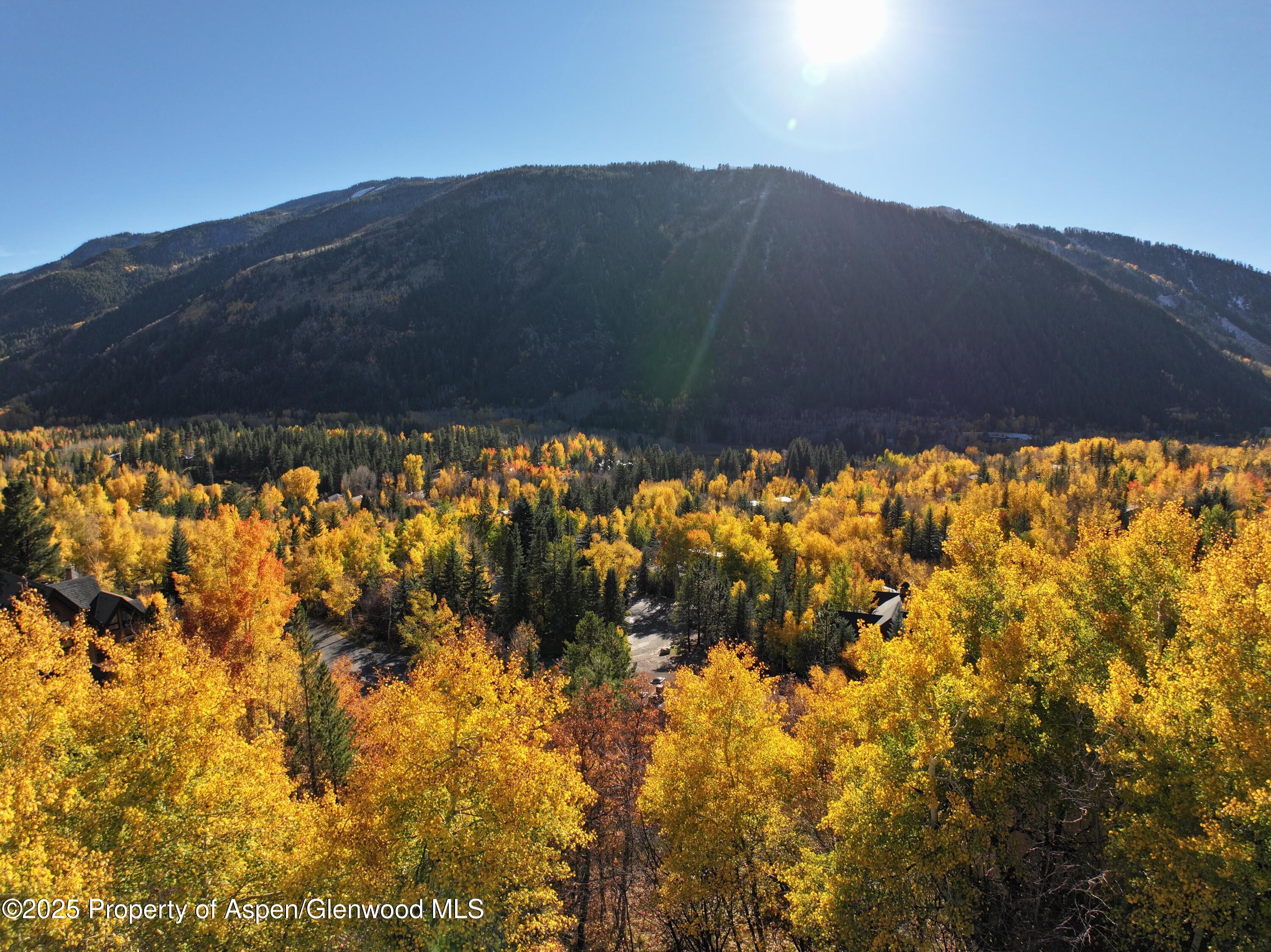 602 Mountain Laurel Drive Aspen CO 81611