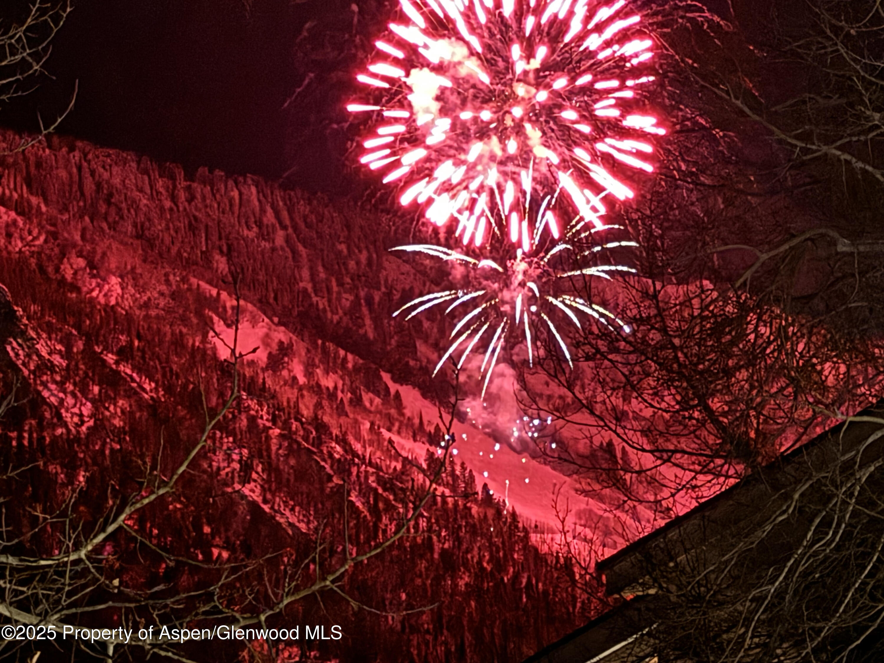 602 Mountain Laurel Drive Aspen CO 81611