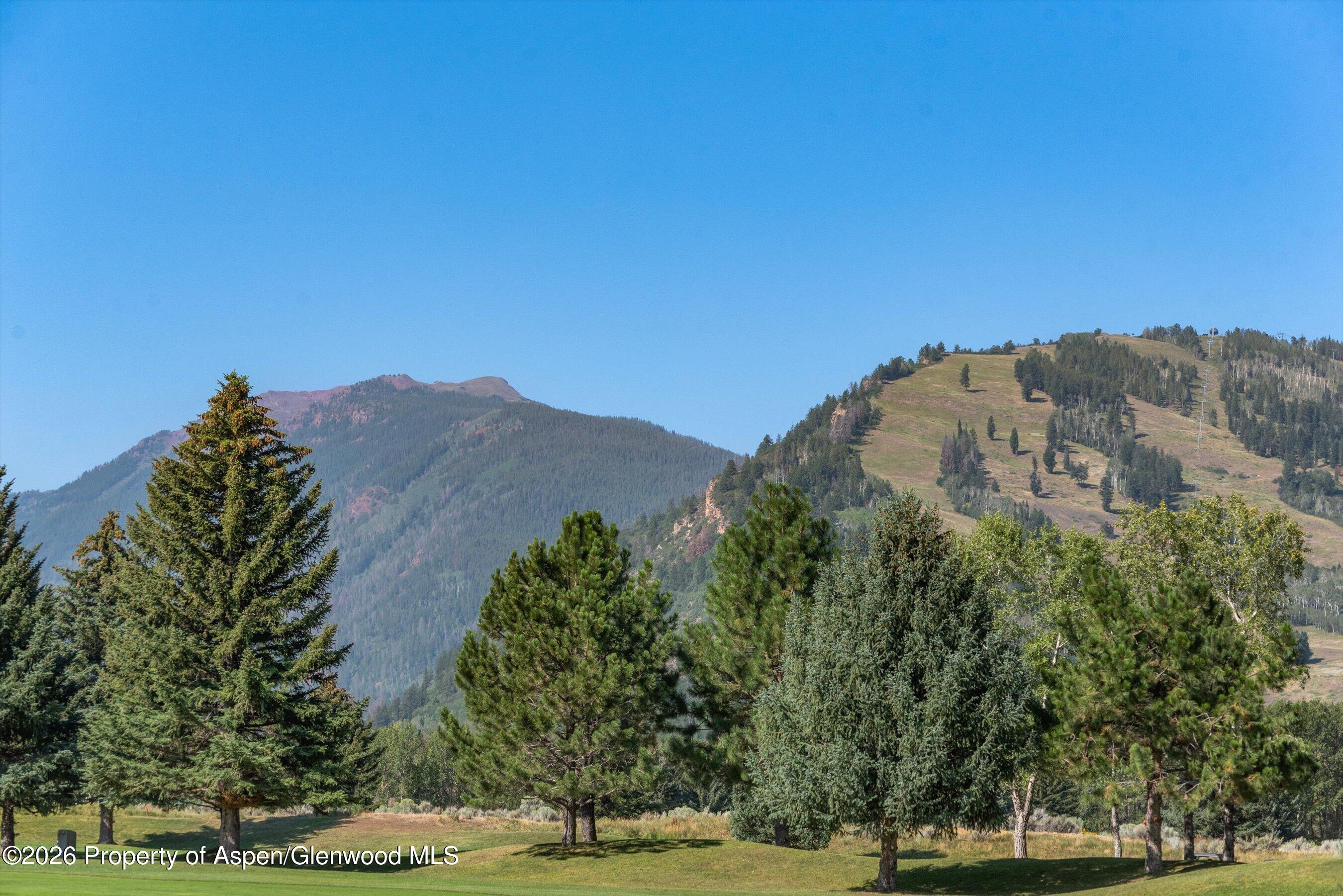 737 Cemetery Lane Aspen CO 81611