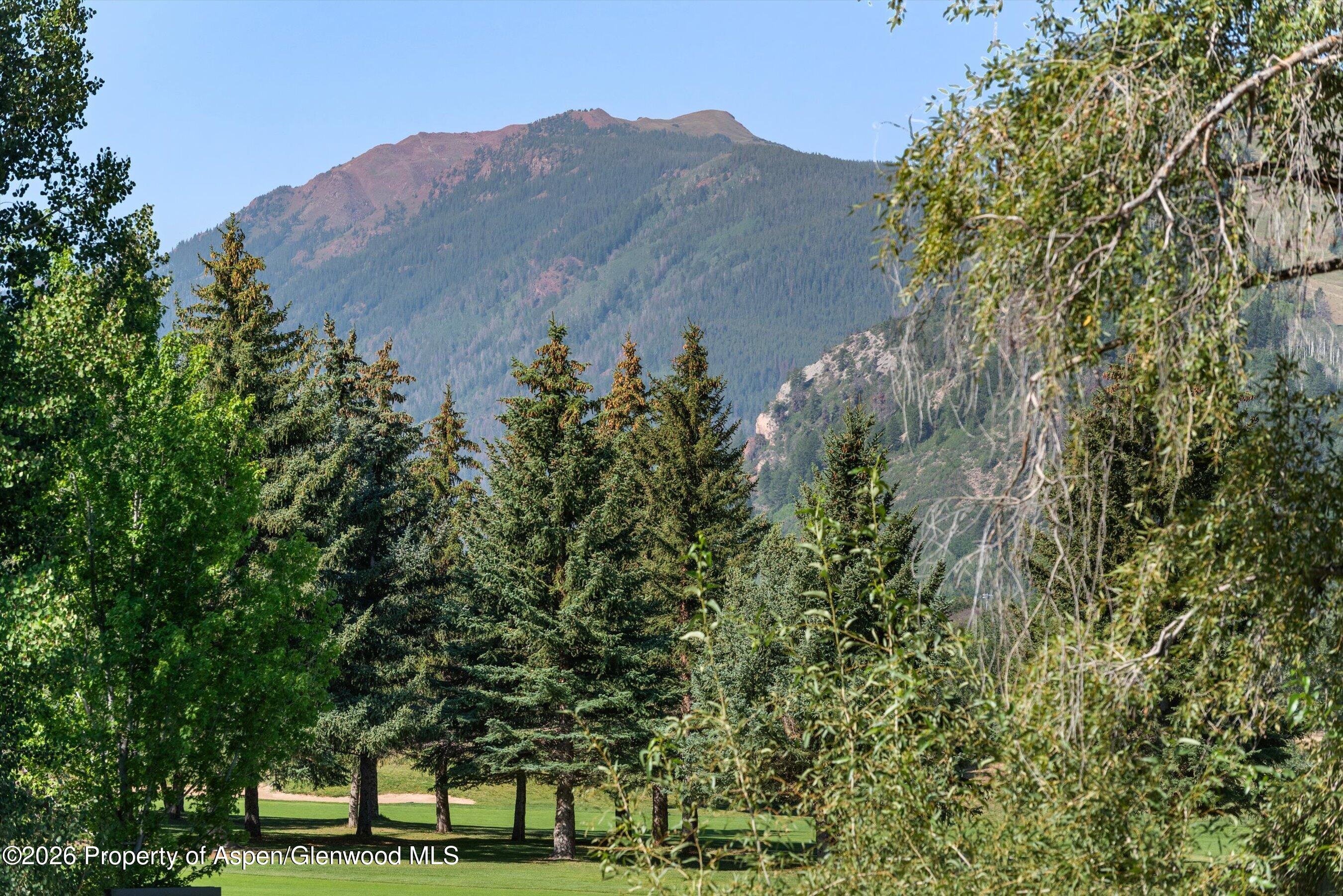737 Cemetery Lane Aspen CO 81611