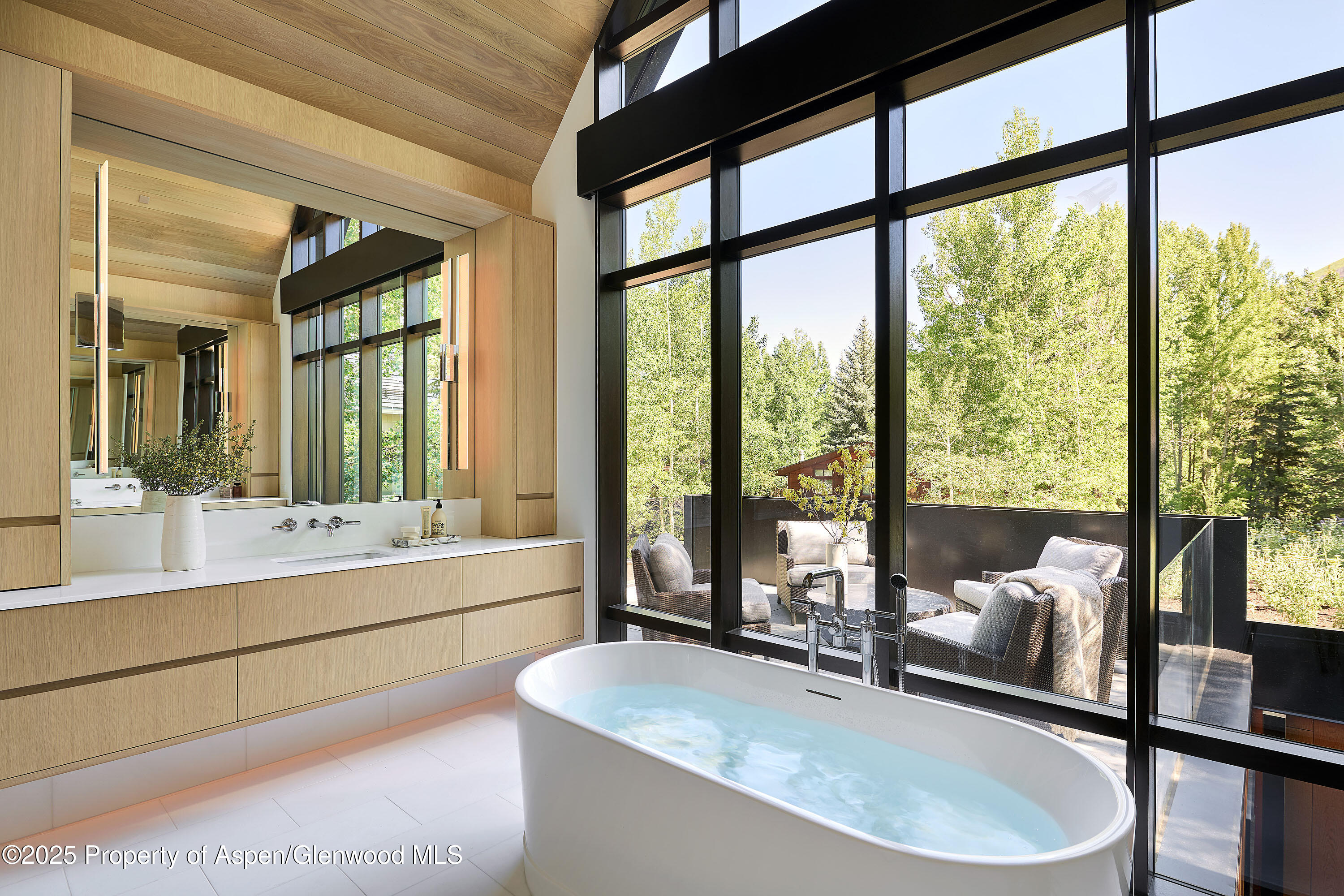 810 W Smuggler Street Aspen CO 81611