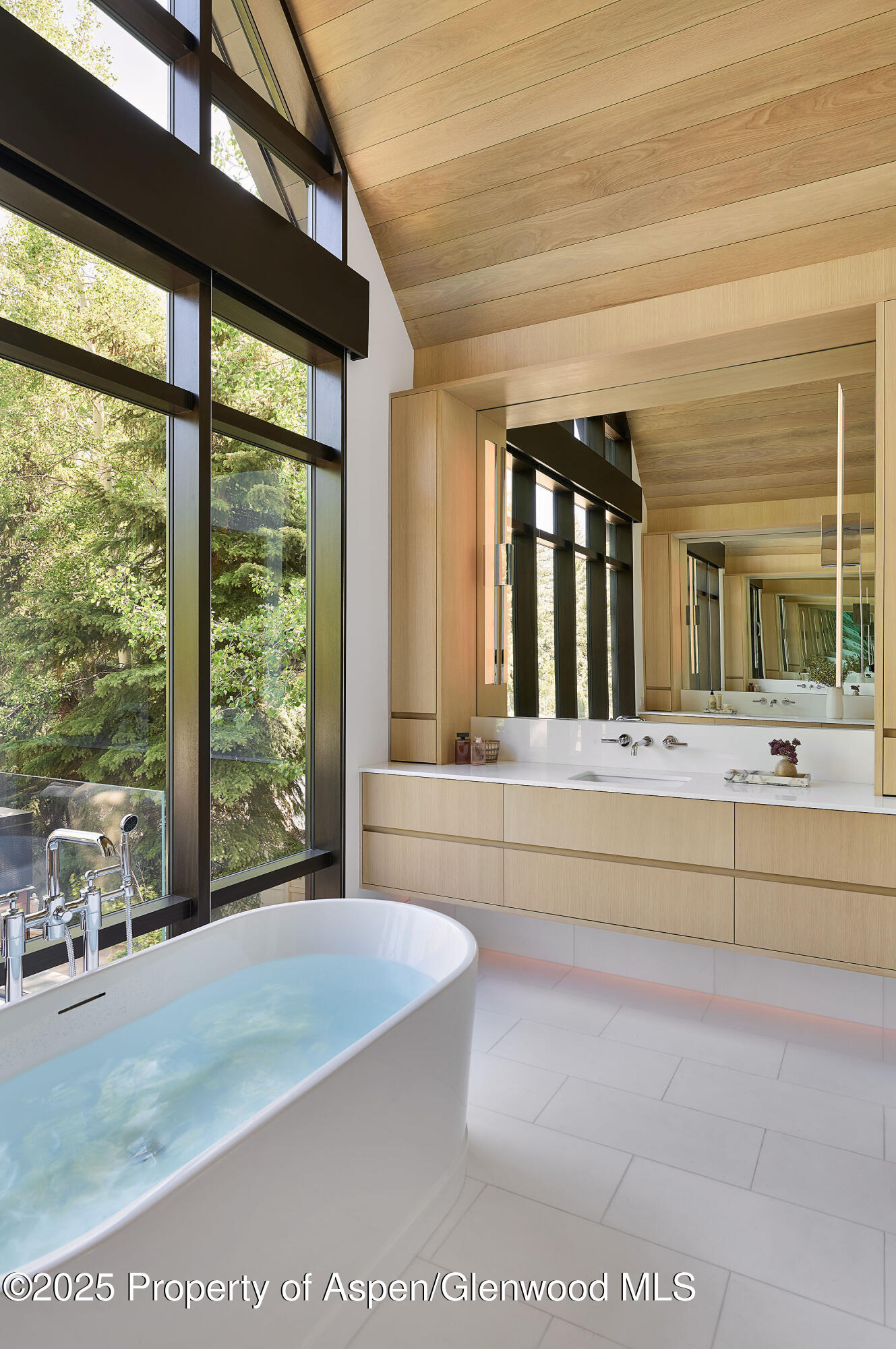 810 W Smuggler Street Aspen CO 81611