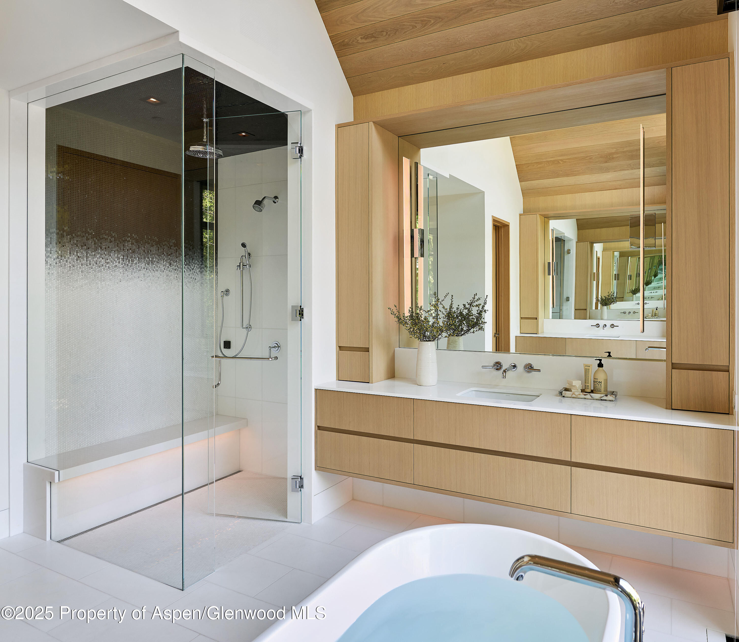 810 W Smuggler Street Aspen CO 81611