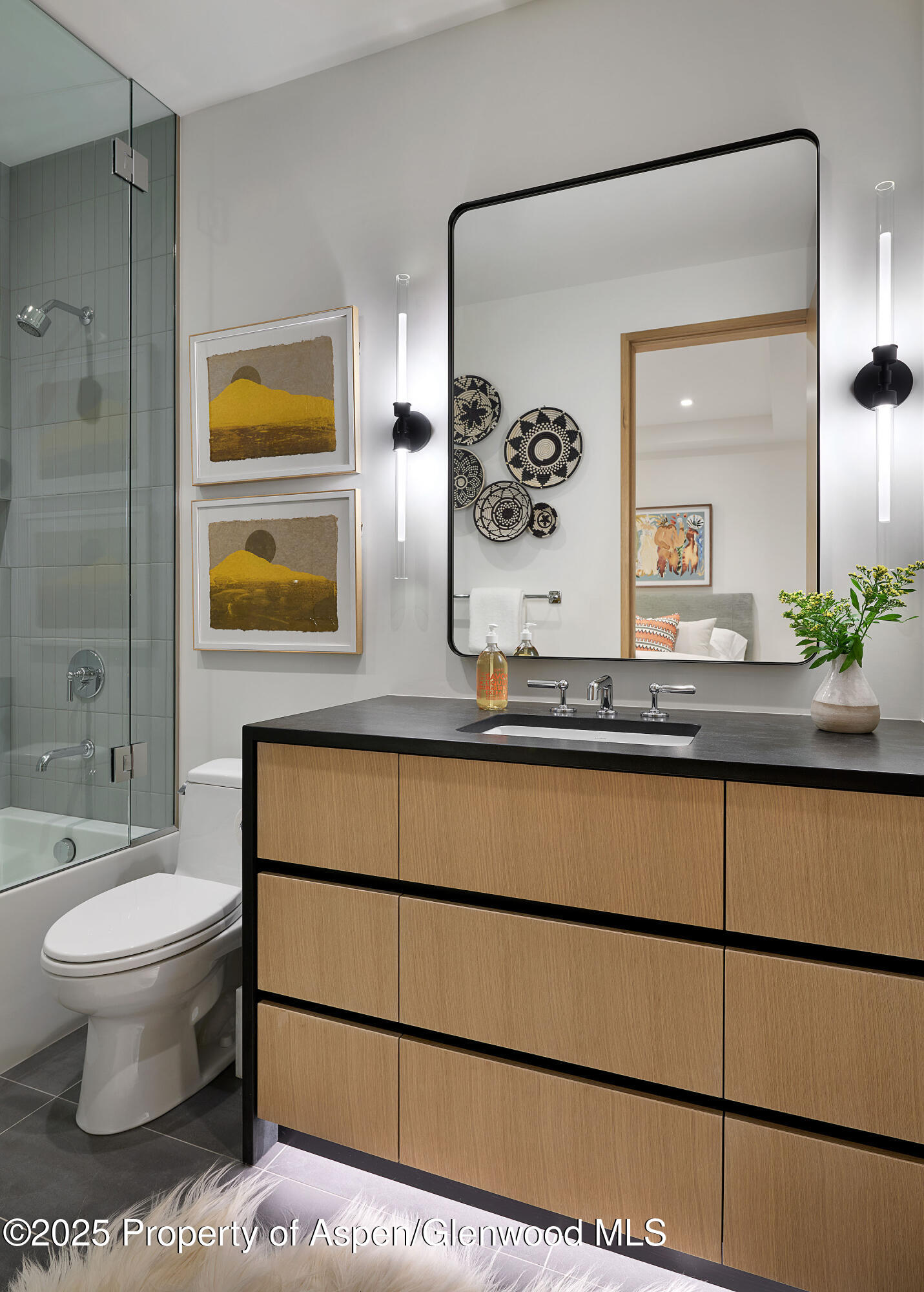 810 W Smuggler Street Aspen CO 81611