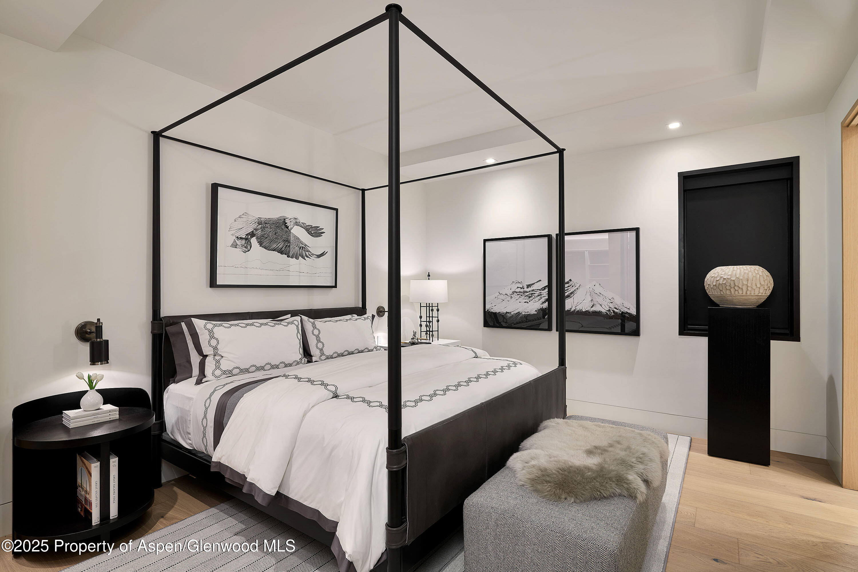 810 W Smuggler Street Aspen CO 81611