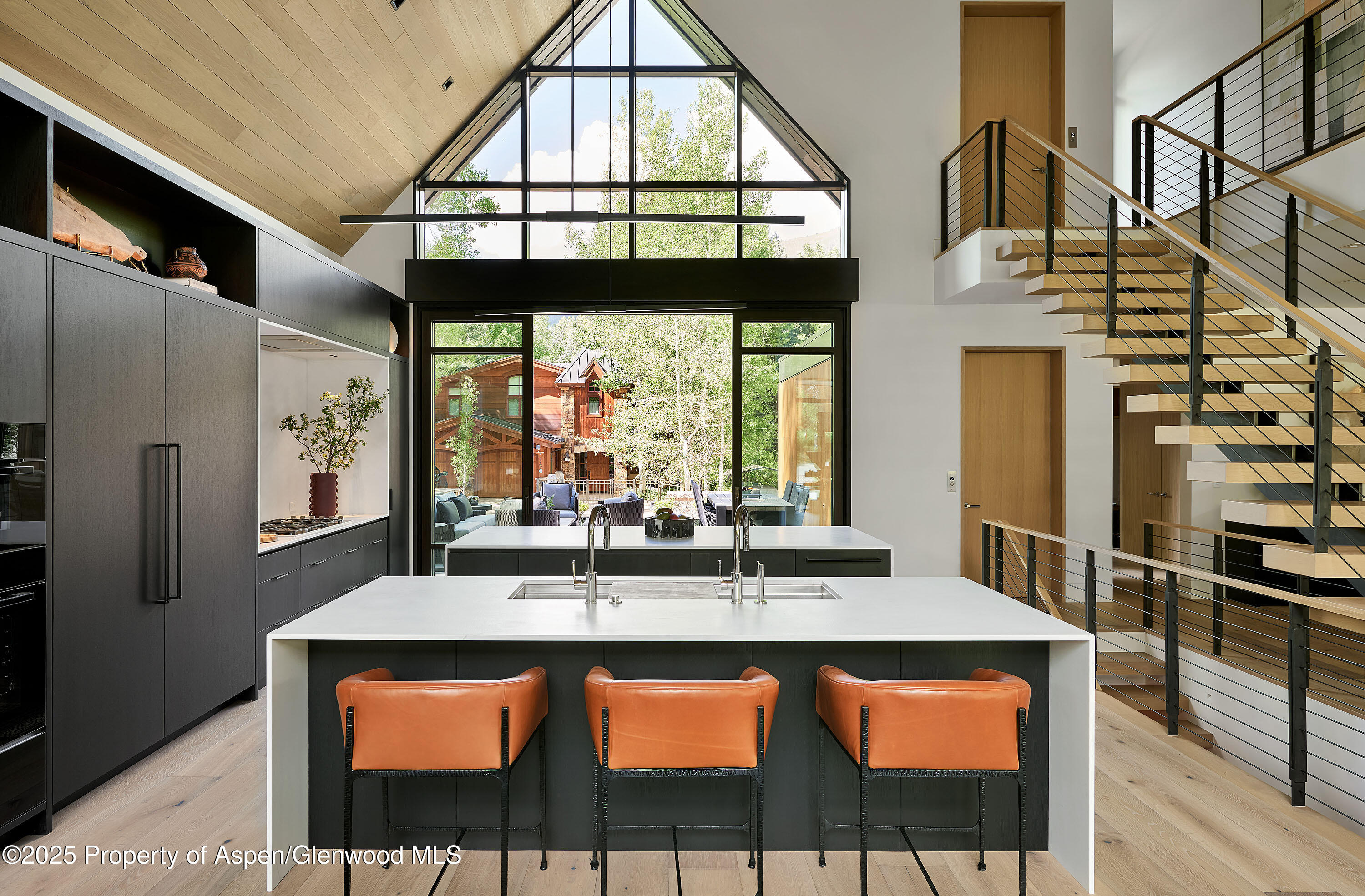 810 W Smuggler Street Aspen CO 81611