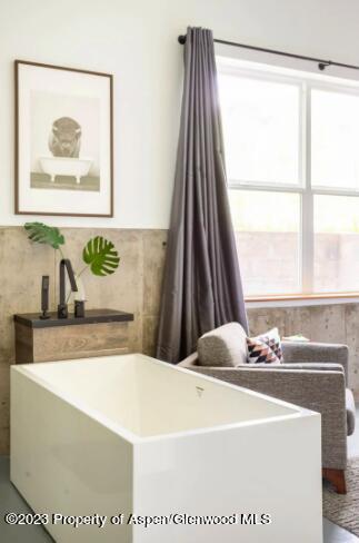 175 Hawk Lane Basalt CO 81621