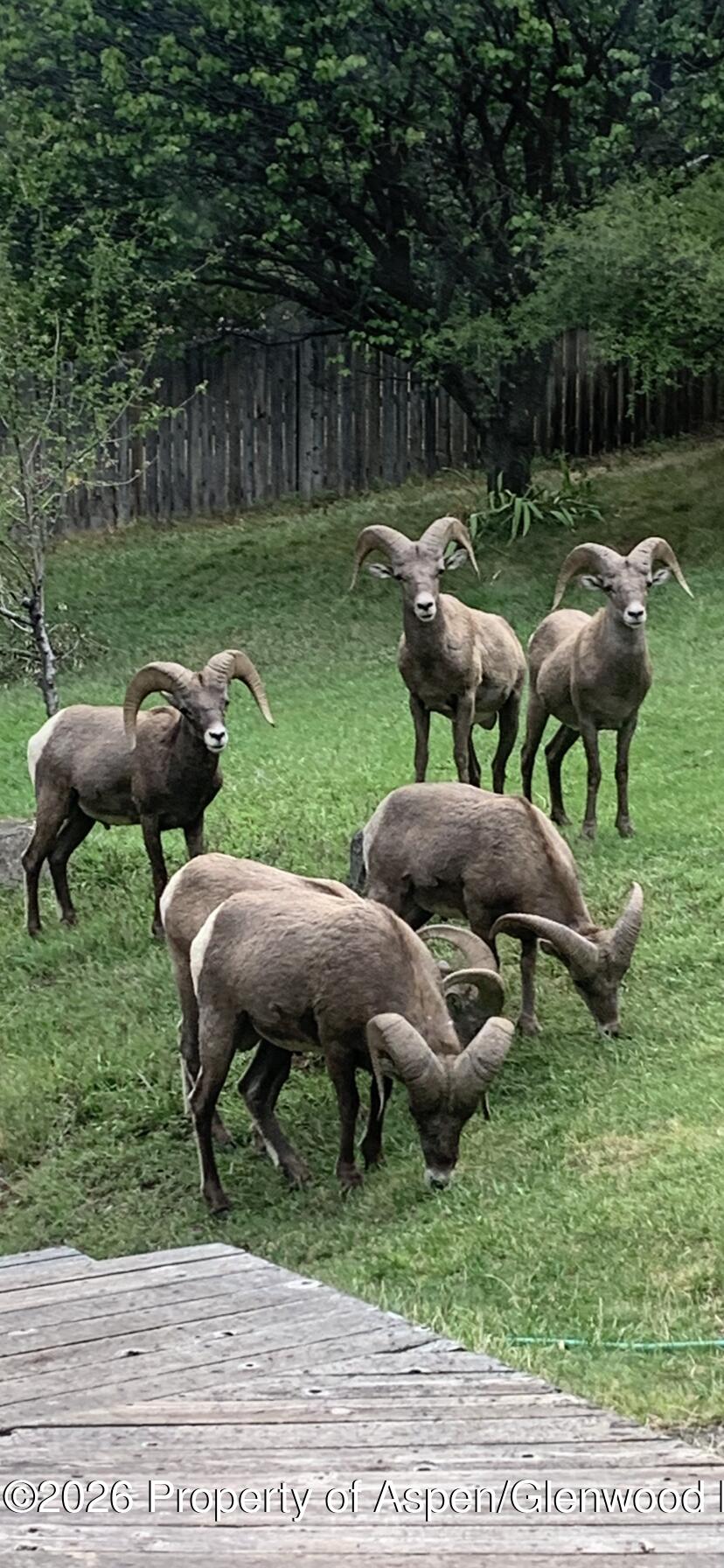 55857 Hwy 6 & 24 Glenwood Springs CO 81601