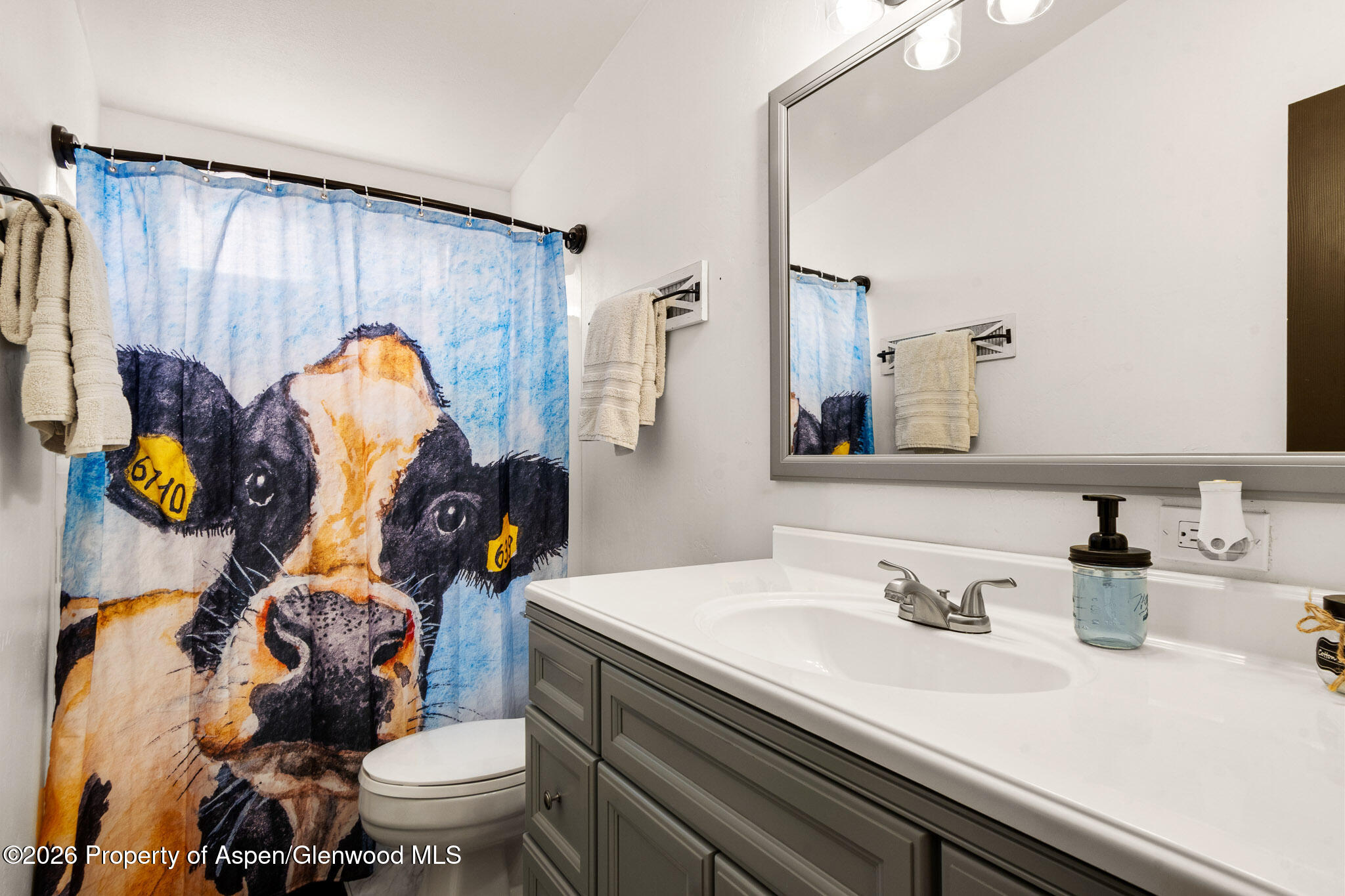 106 Cedar Circle Parachute CO 81635