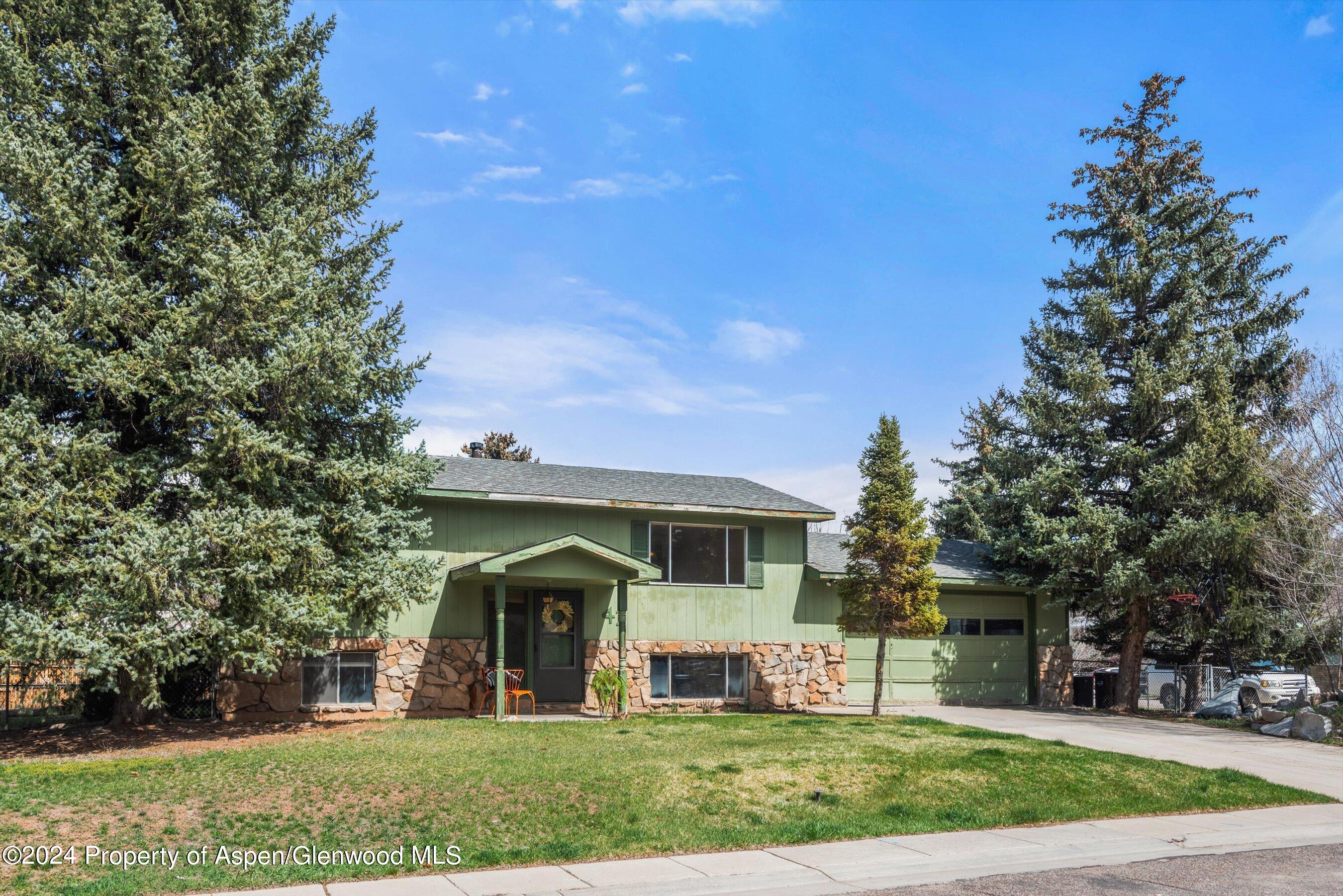 41 Crystal Circle Carbondale CO 81623