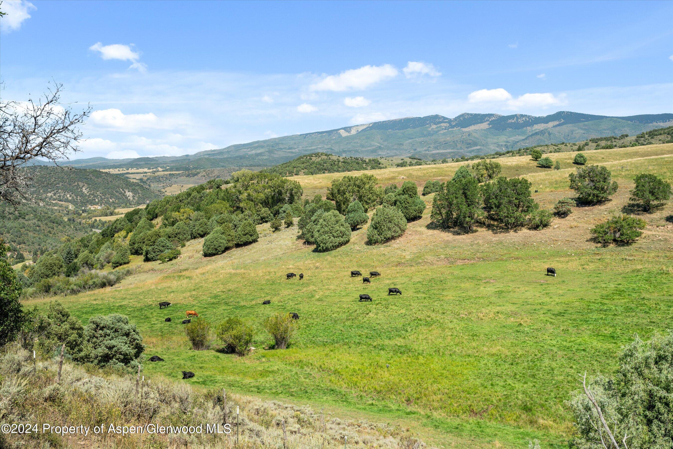 20250 Co-133 Somerset CO 81434