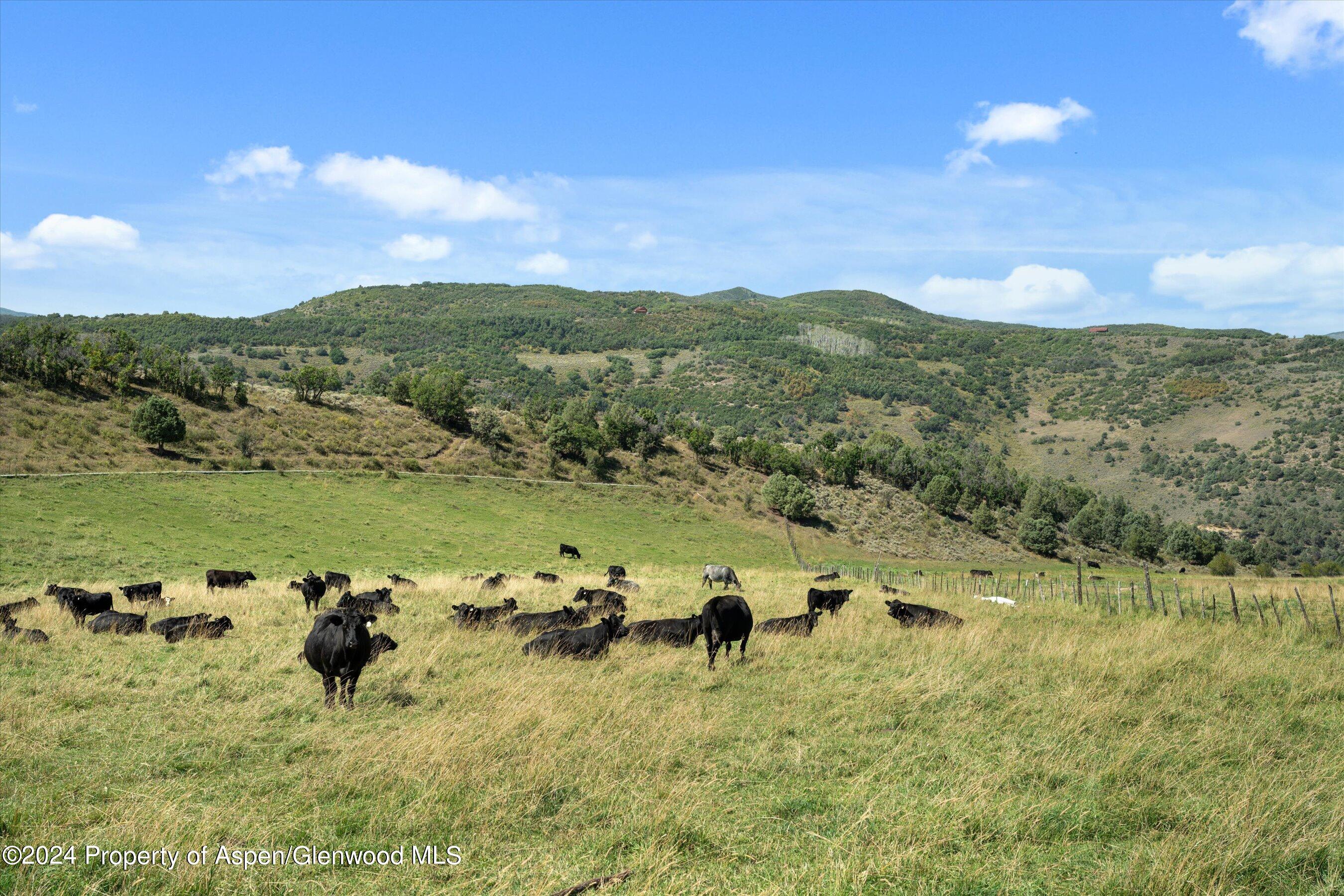 20250 Co-133 Somerset CO 81434