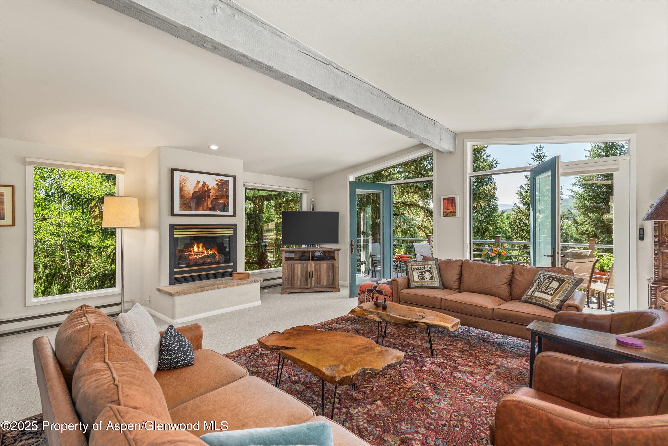 15 Terrace Drive Snowmass Village CO 81615