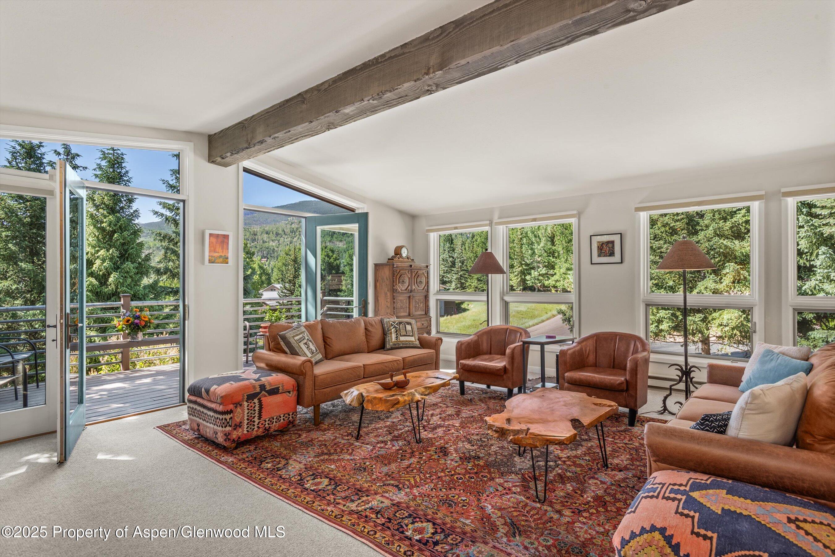 15 Terrace Drive Snowmass Village CO 81615