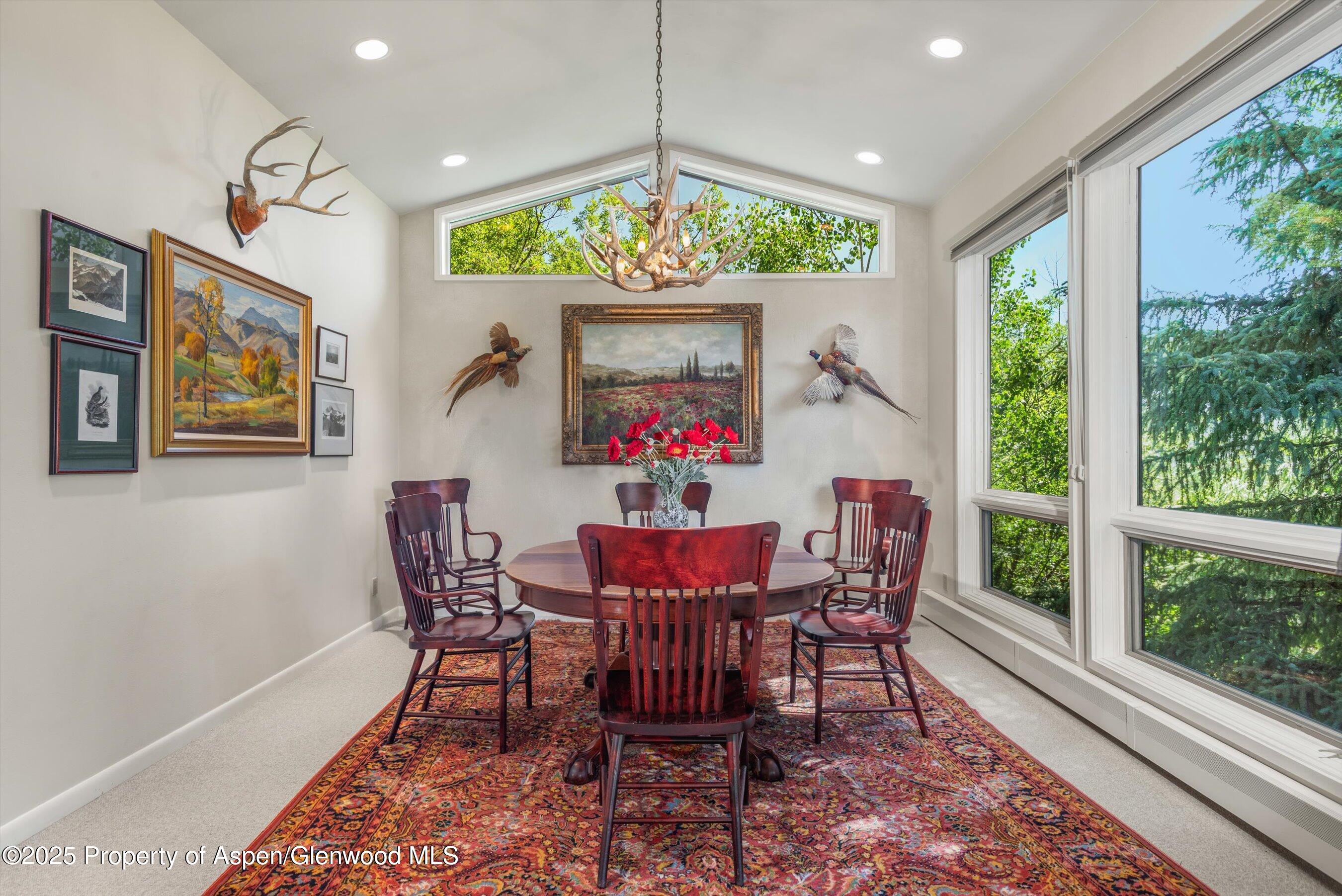 15 Terrace Drive Snowmass Village CO 81615