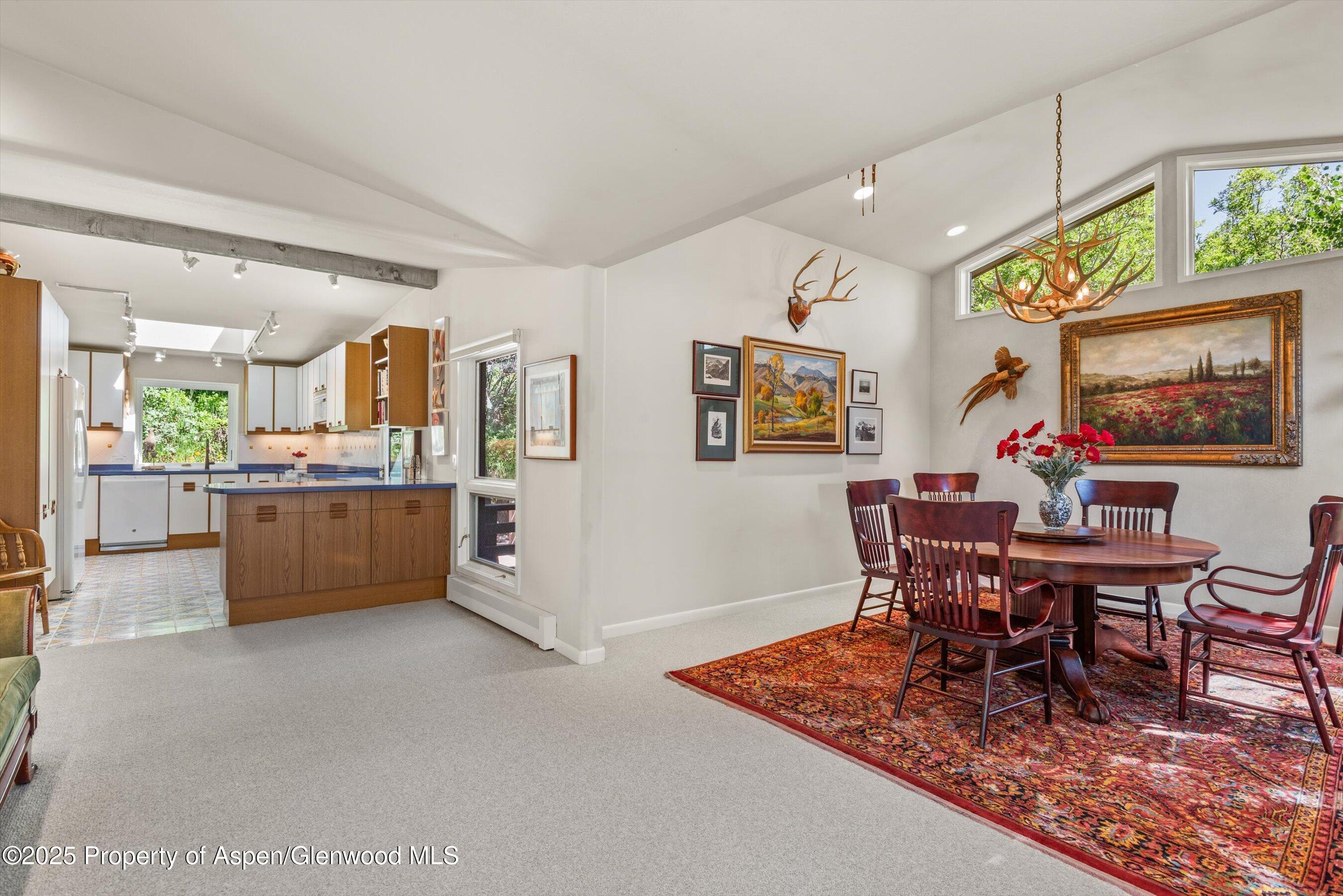 15 Terrace Drive Snowmass Village CO 81615