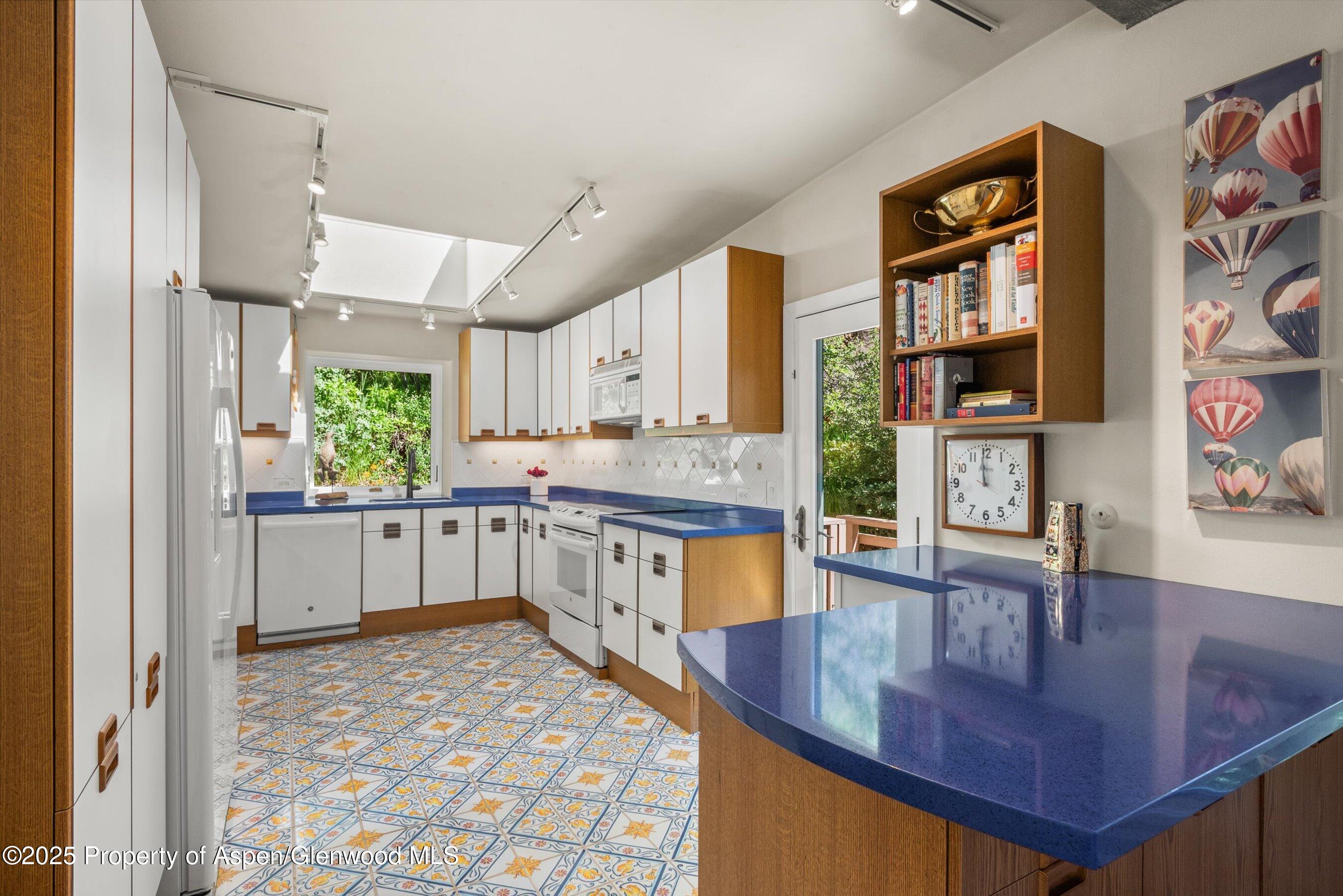 15 Terrace Drive Snowmass Village CO 81615