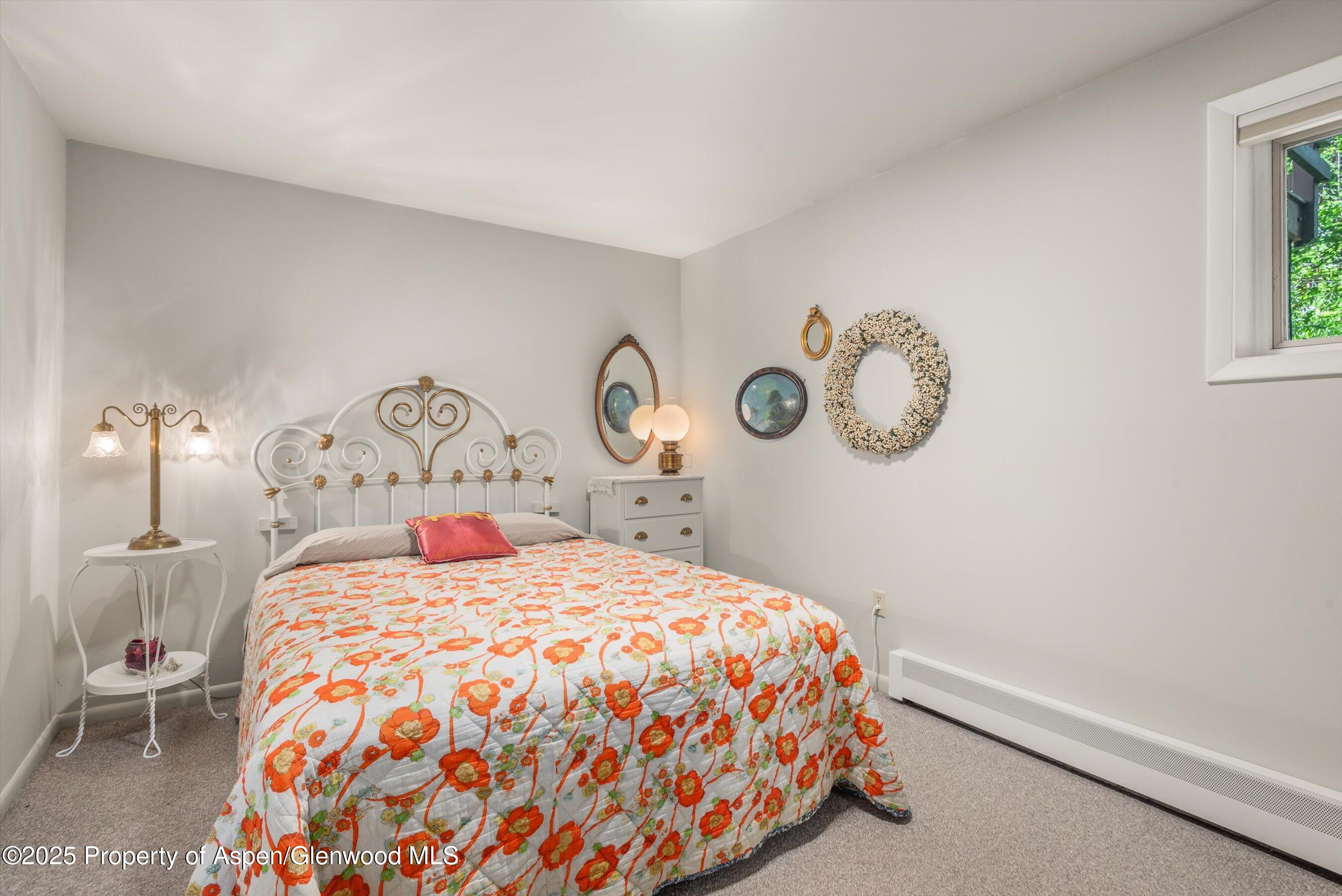 15 Terrace Drive Snowmass Village CO 81615