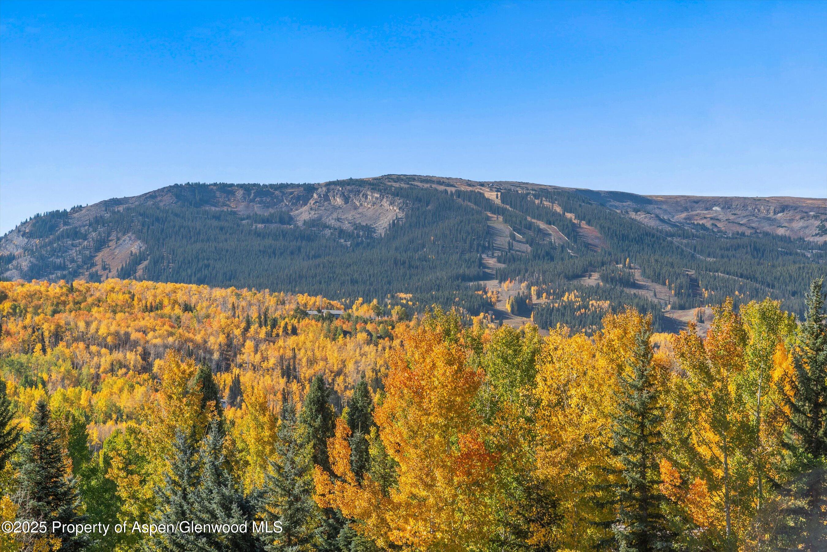 15 Terrace Drive Snowmass Village CO 81615