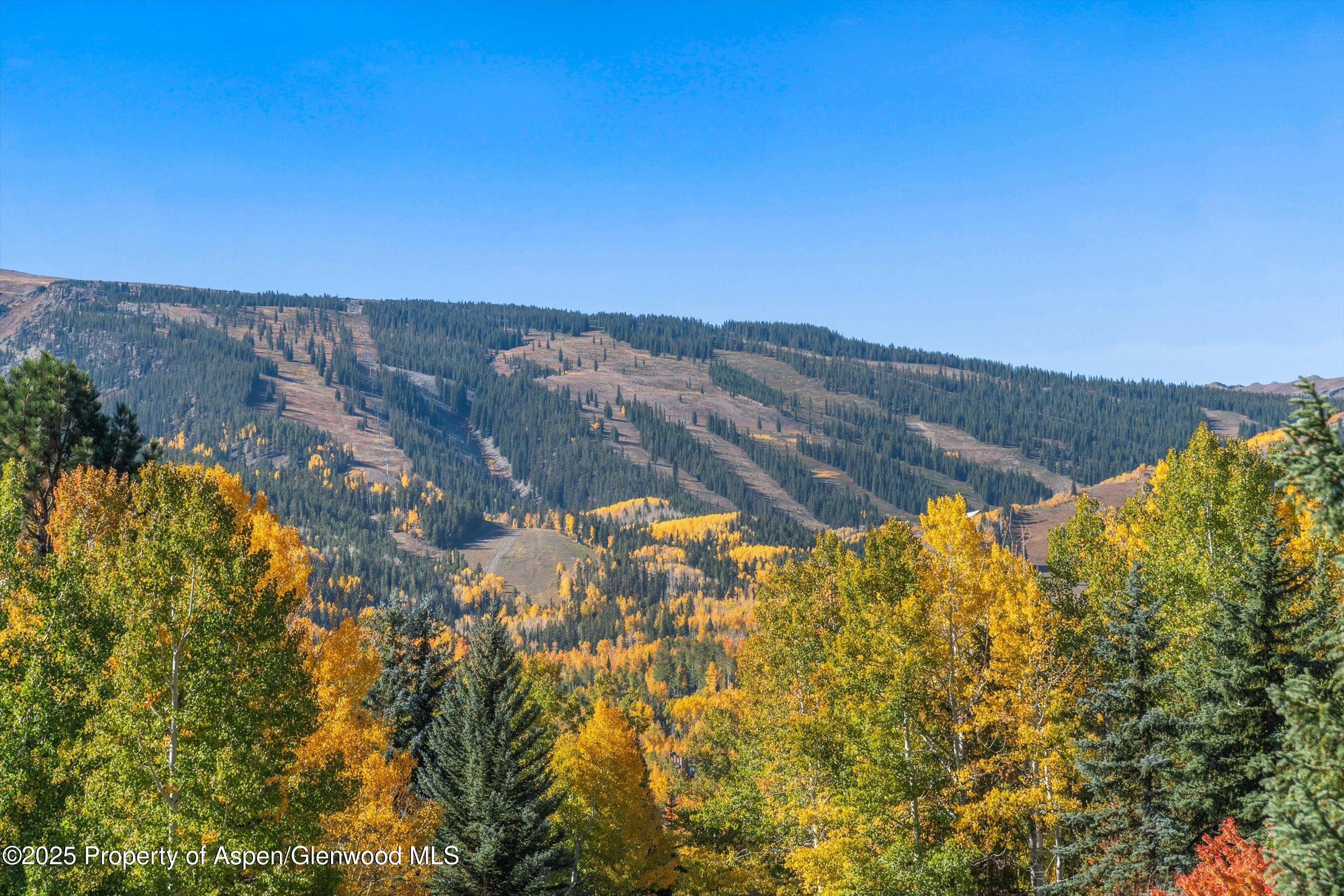 15 Terrace Drive Snowmass Village CO 81615