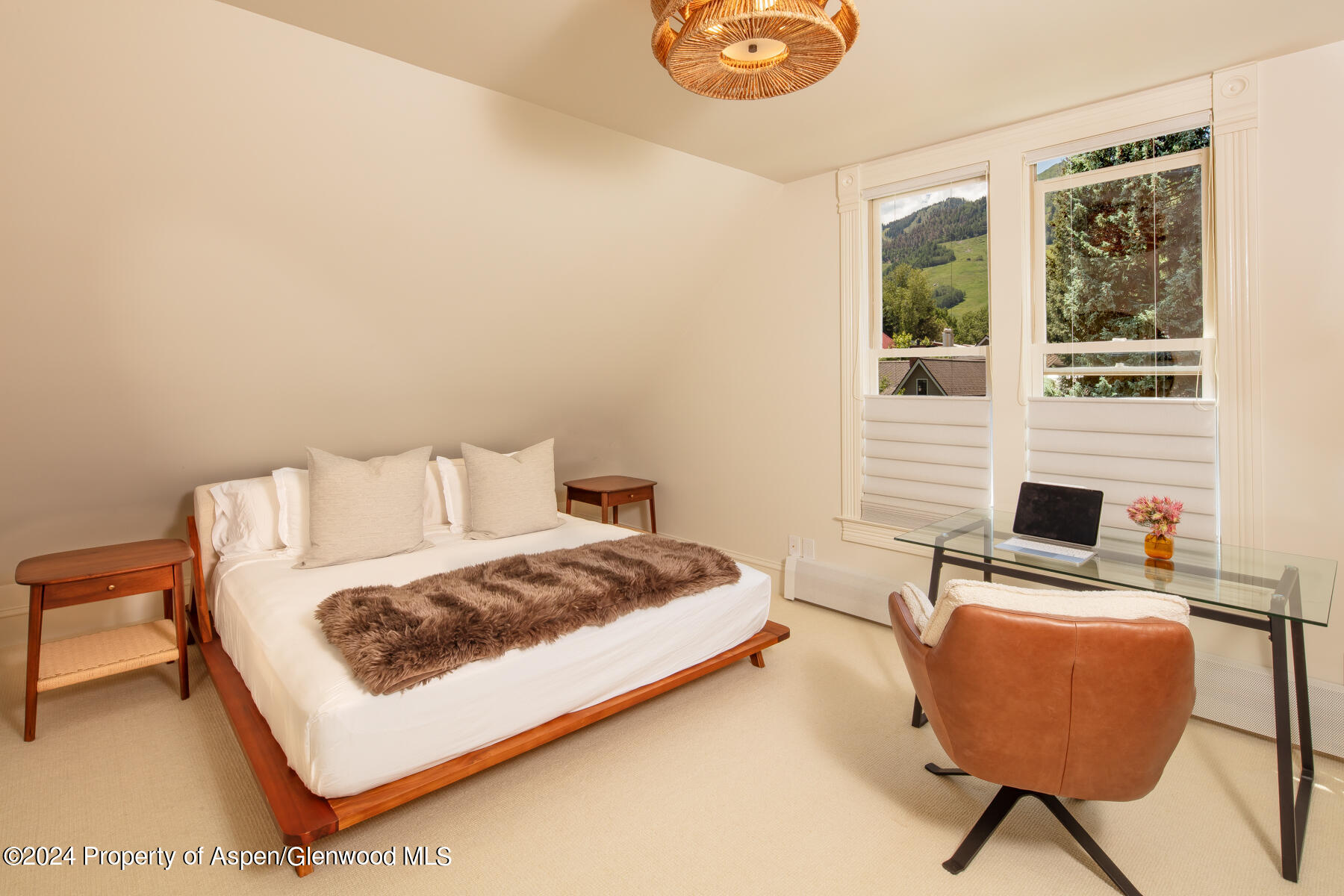 214 W Bleeker Street Aspen CO 81611