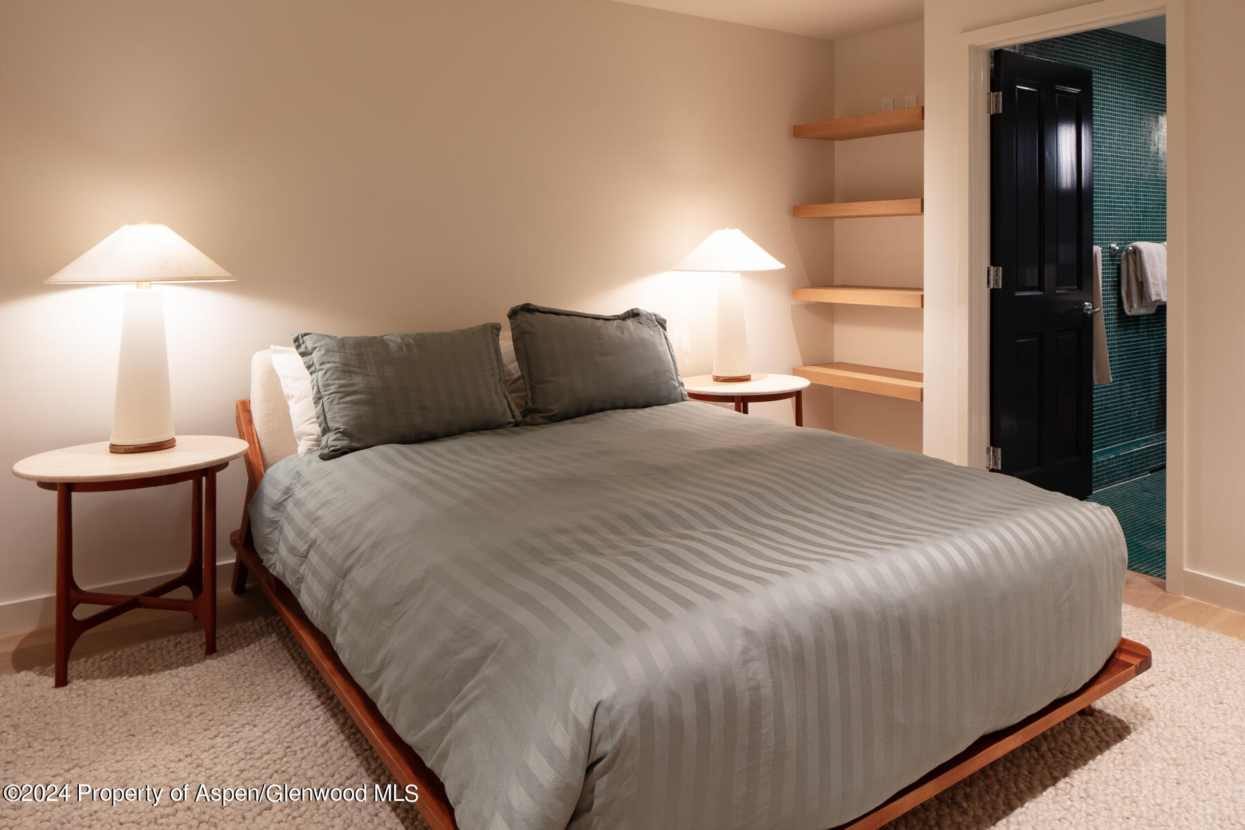 214 W Bleeker Street Aspen CO 81611