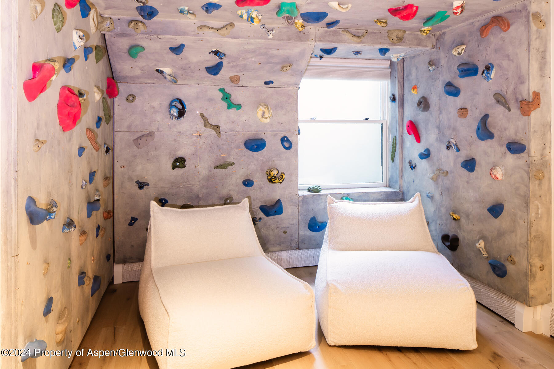 214 W Bleeker Street Aspen CO 81611