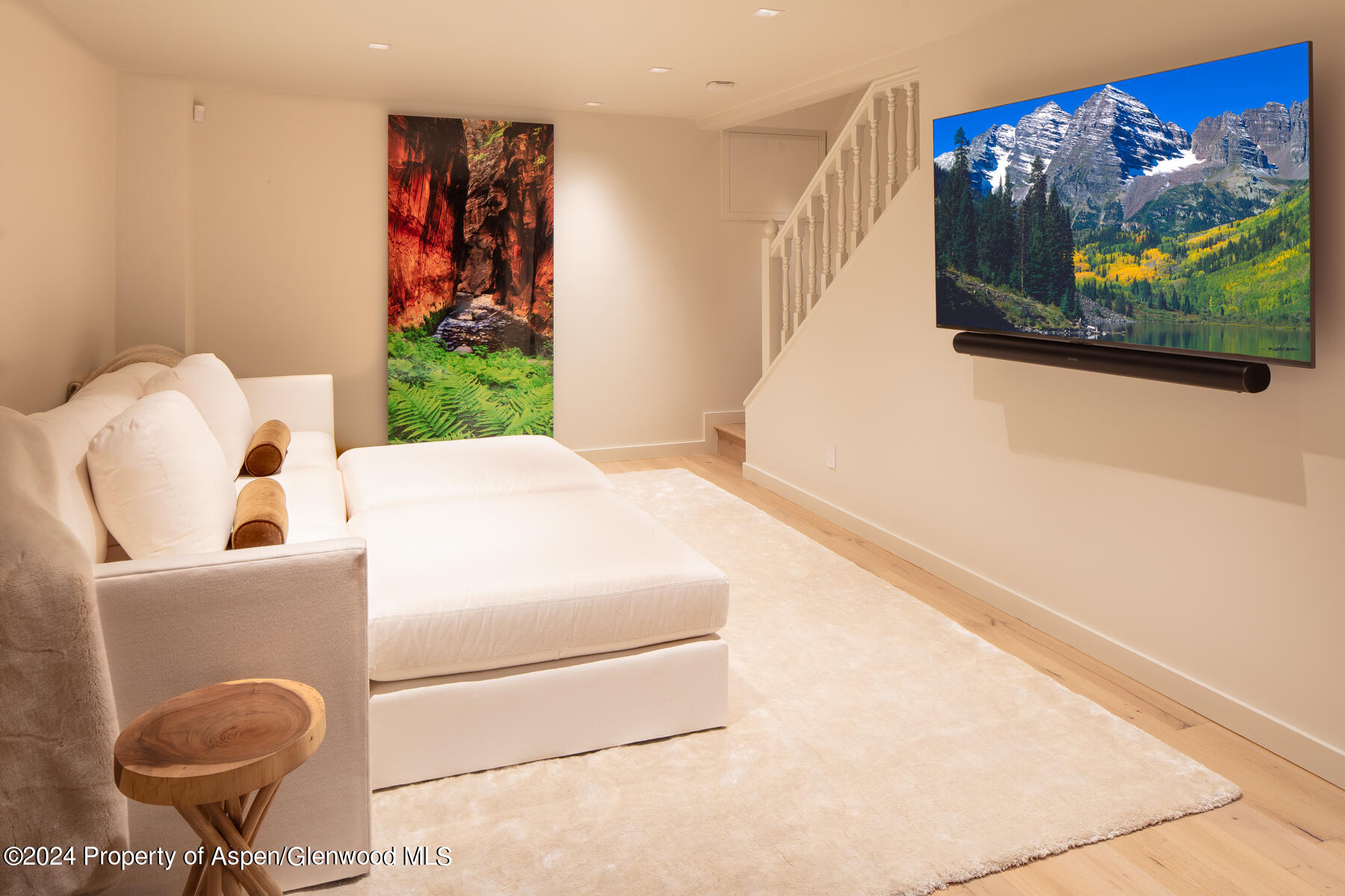 214 W Bleeker Street Aspen CO 81611