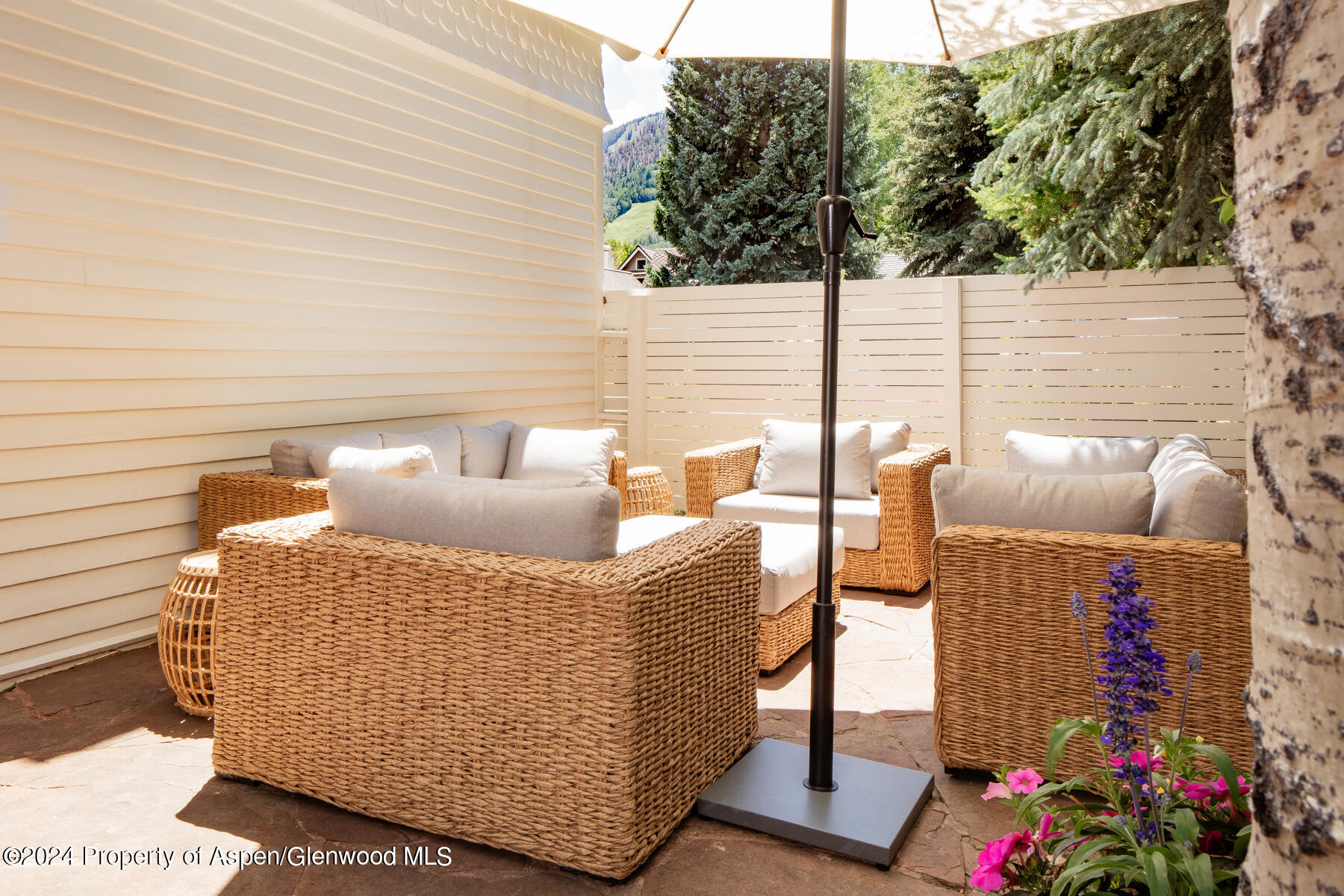 214 W Bleeker Street Aspen CO 81611